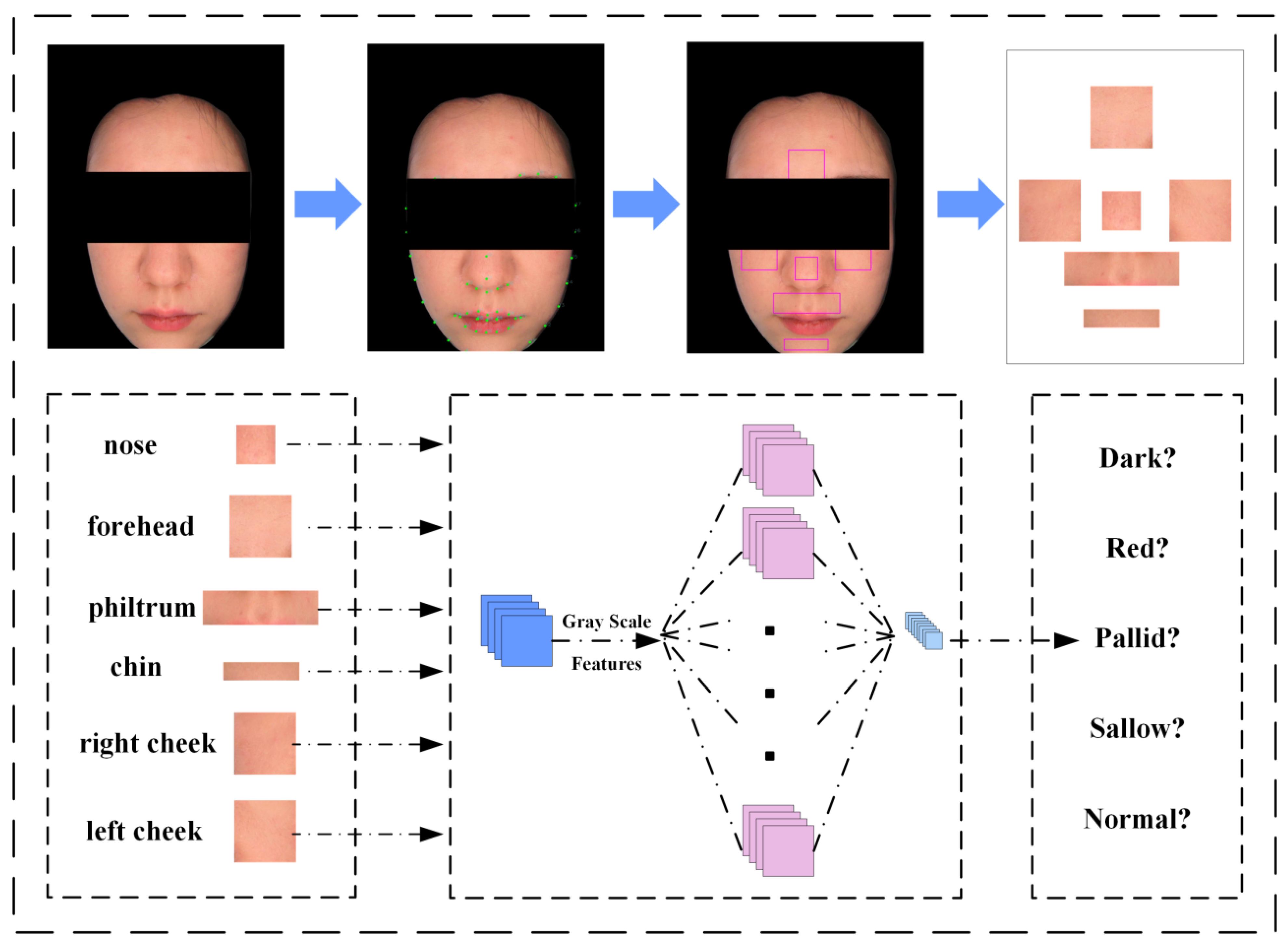 Biomimetics 10 00402 g002