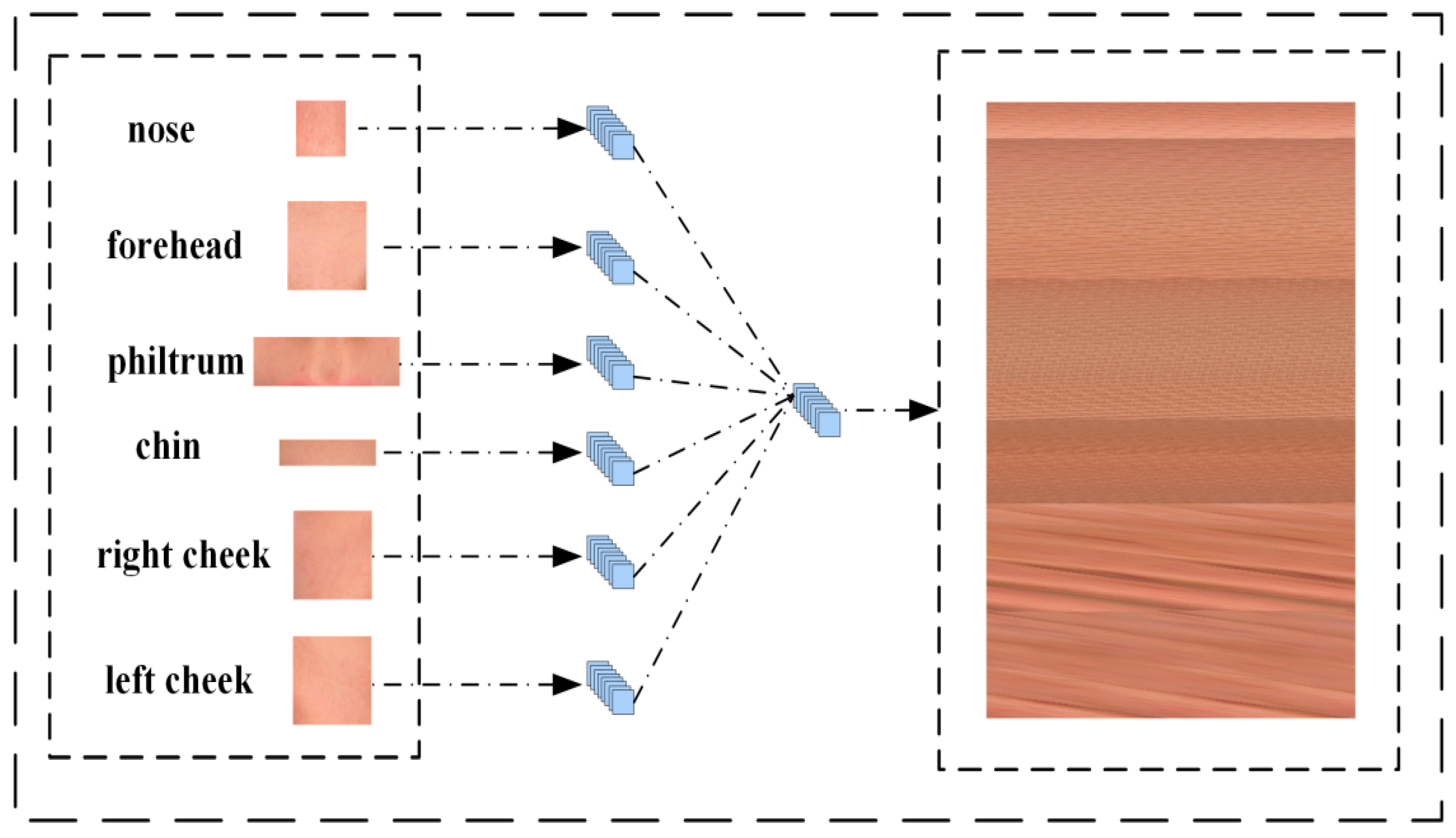 Biomimetics 10 00402 g004