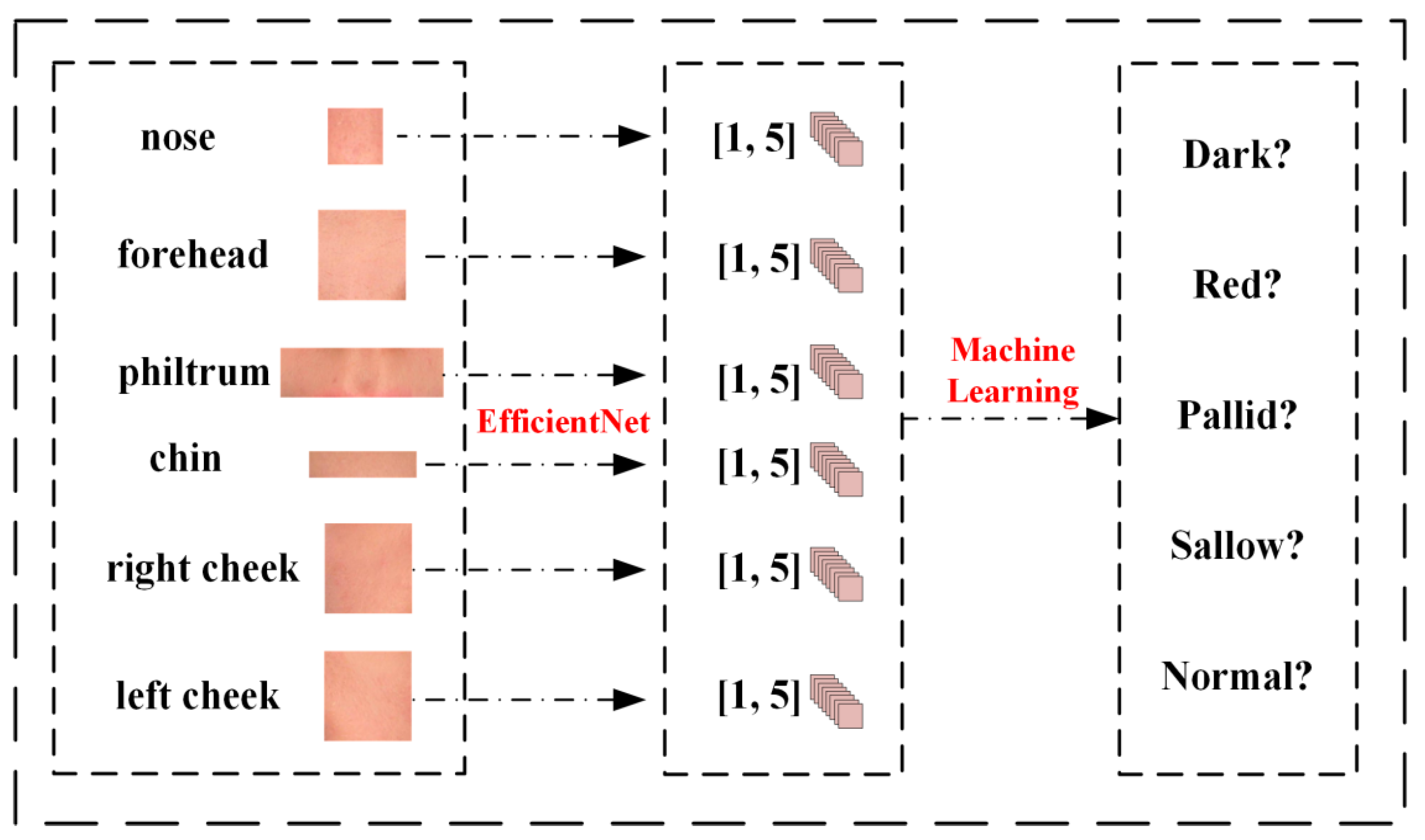 Biomimetics 10 00402 g005