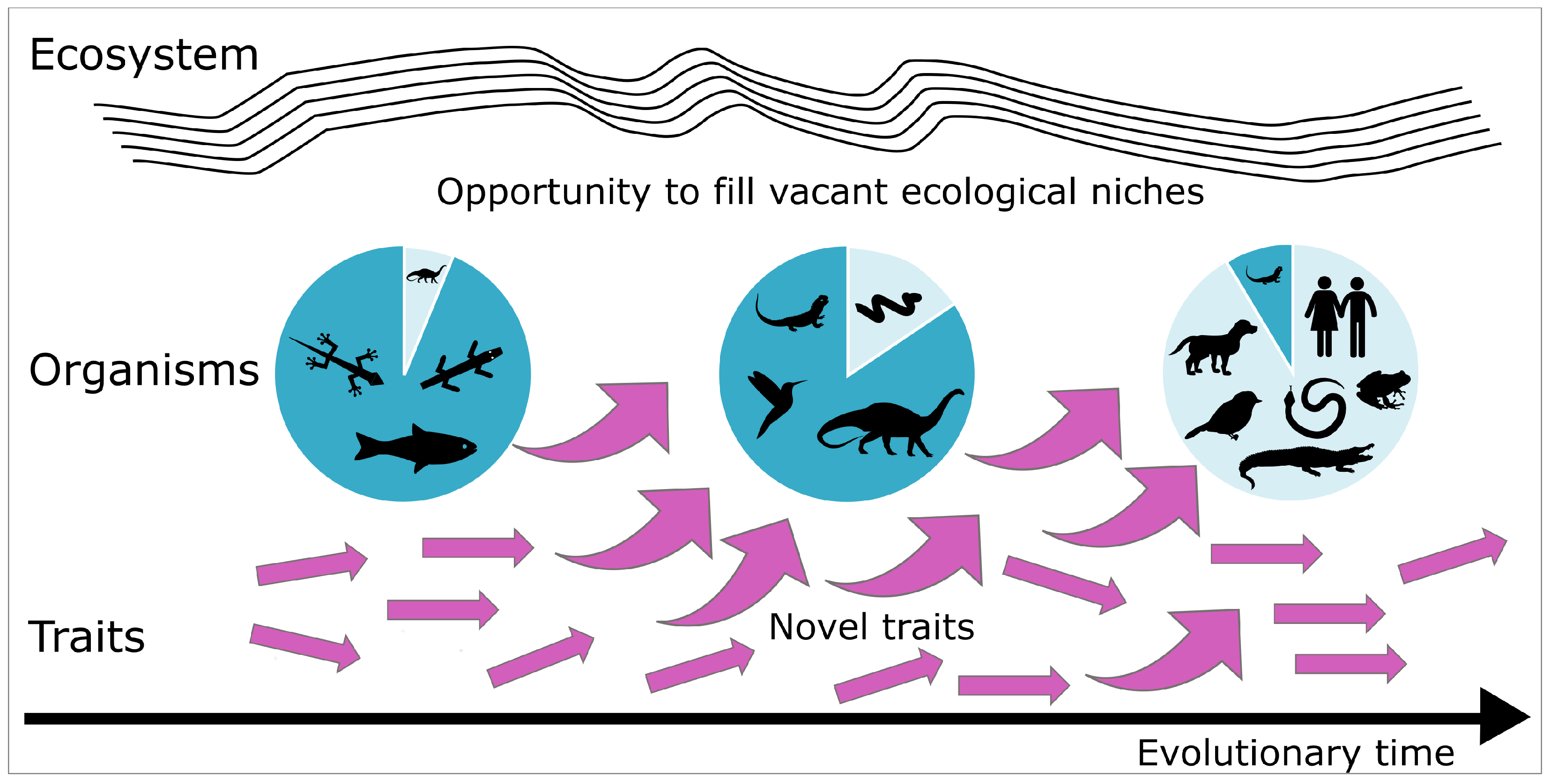 Biomimetics 10 00406 g006