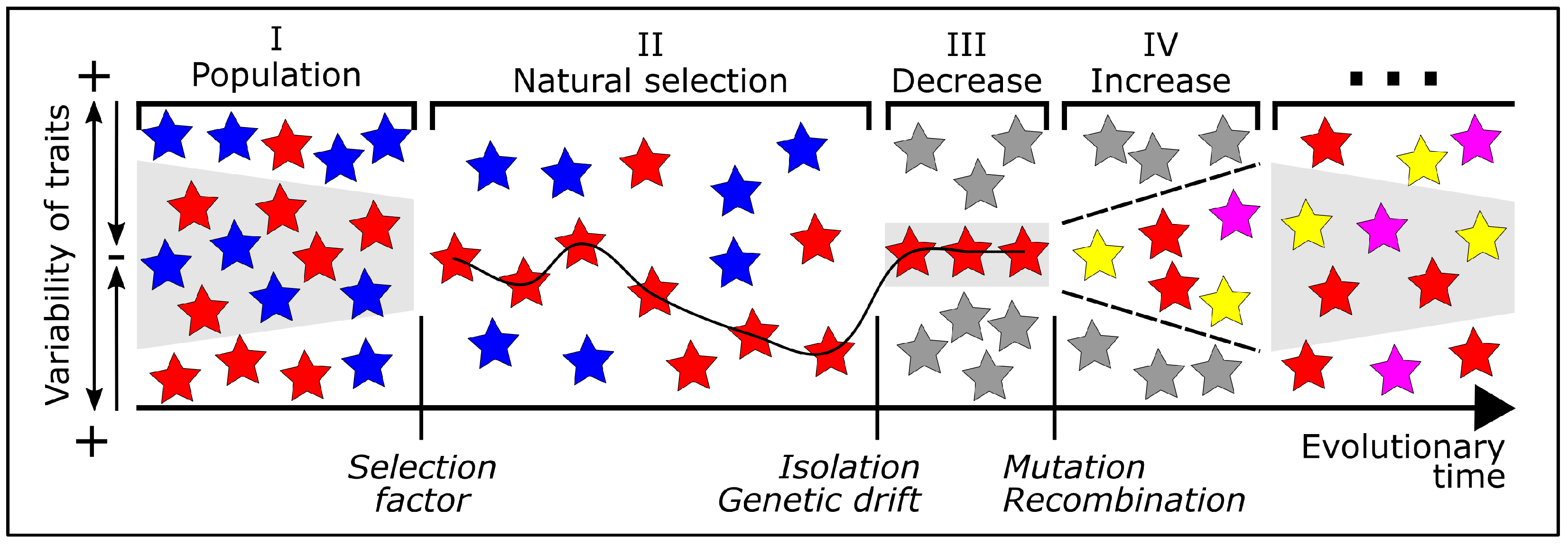 Biomimetics 10 00406 g007