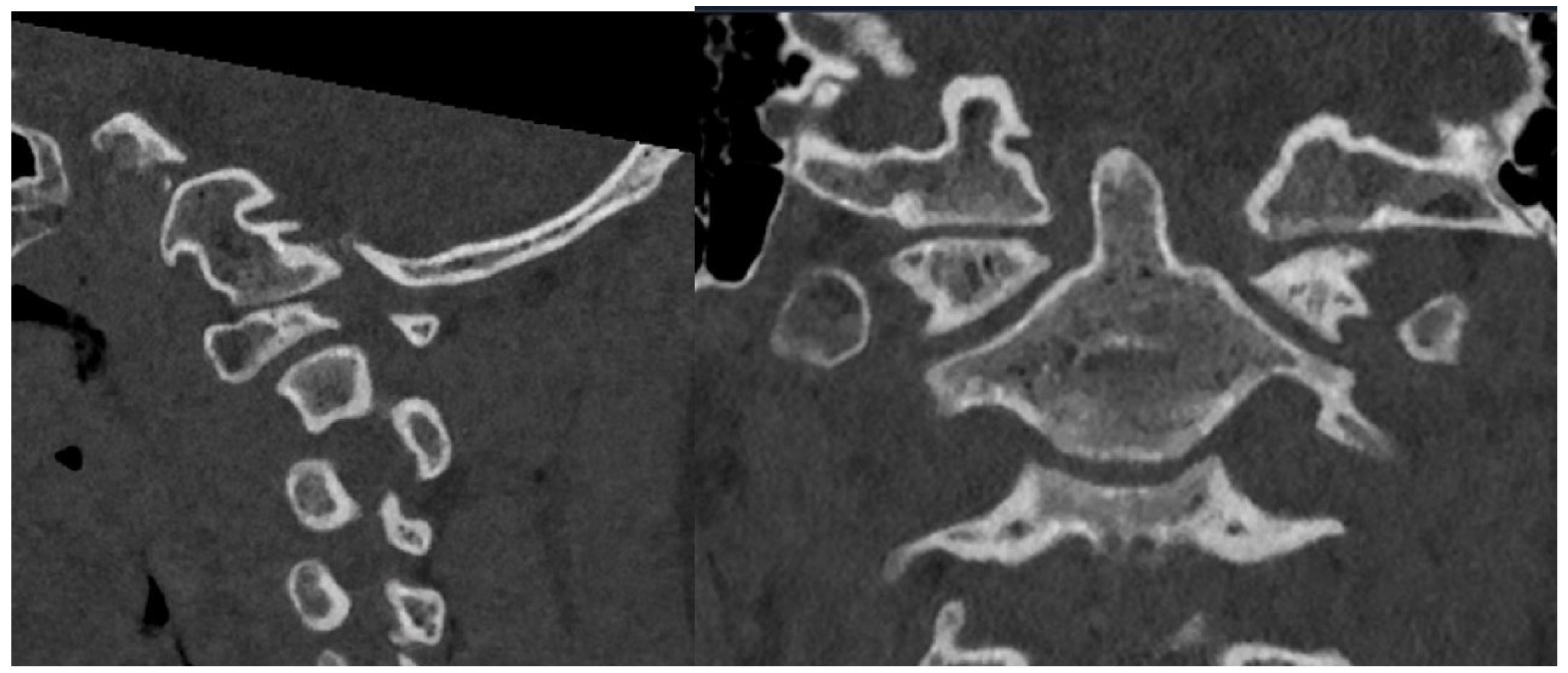 Biomimetics 10 00408 g002