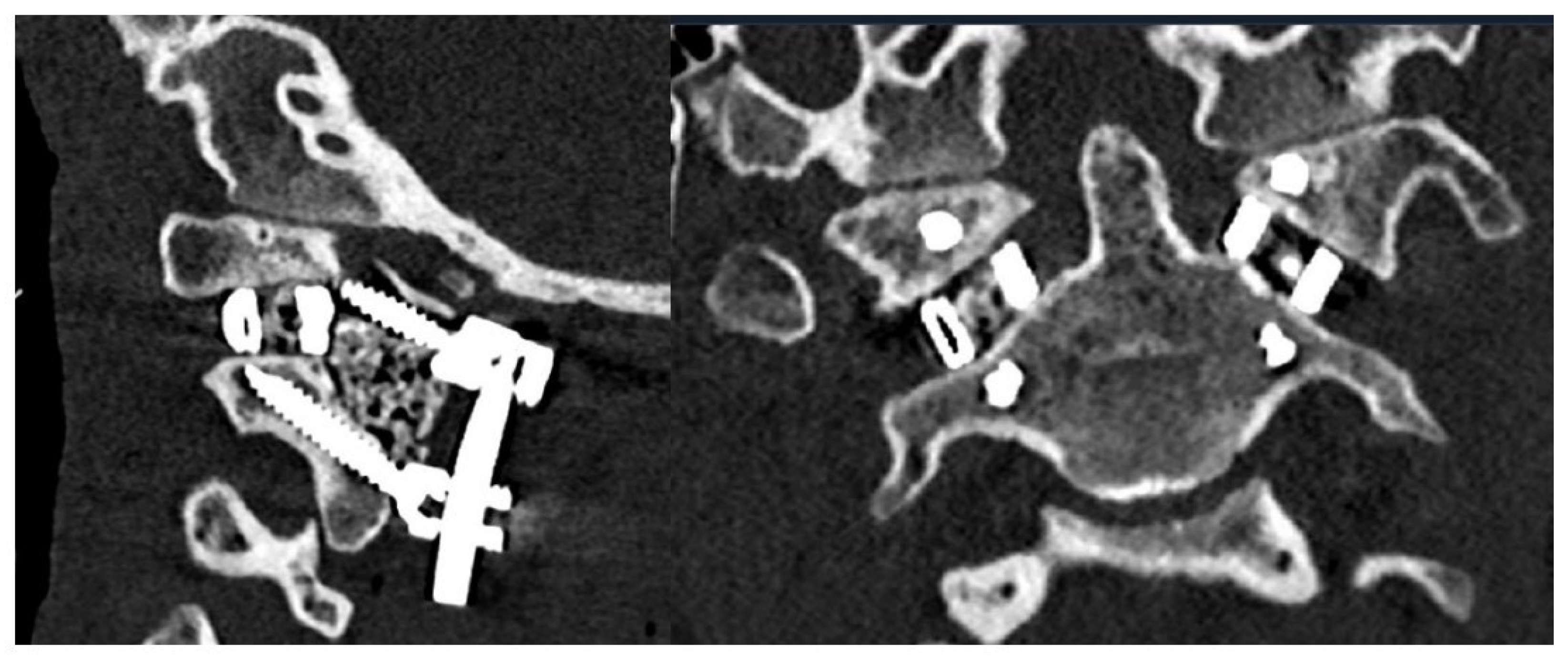 Biomimetics 10 00408 g005