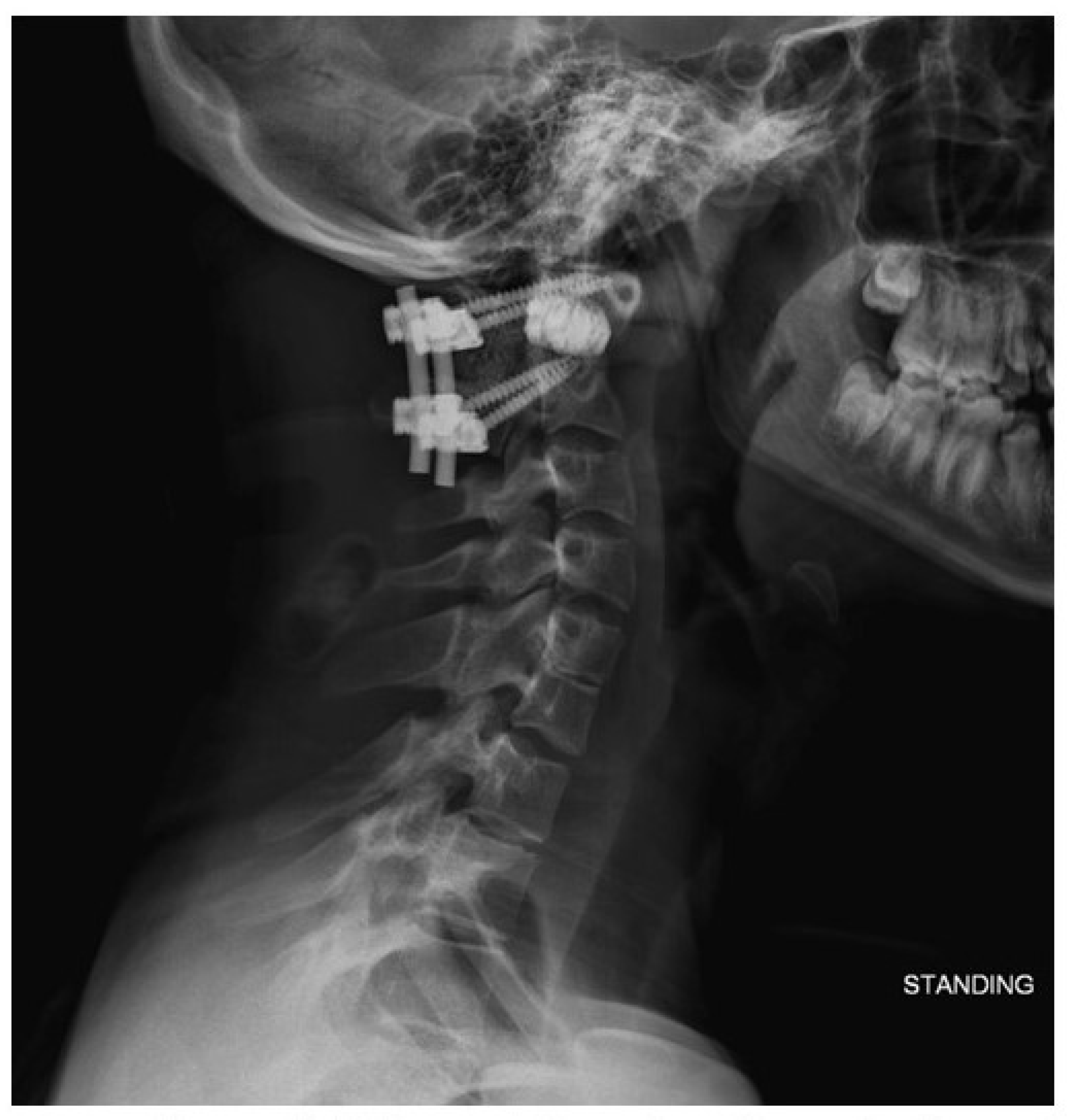 Biomimetics 10 00408 g008