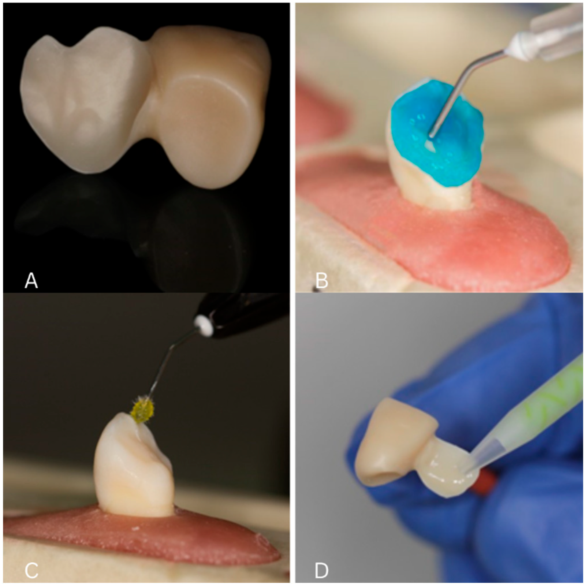 Biomimetics 10 00413 g002
