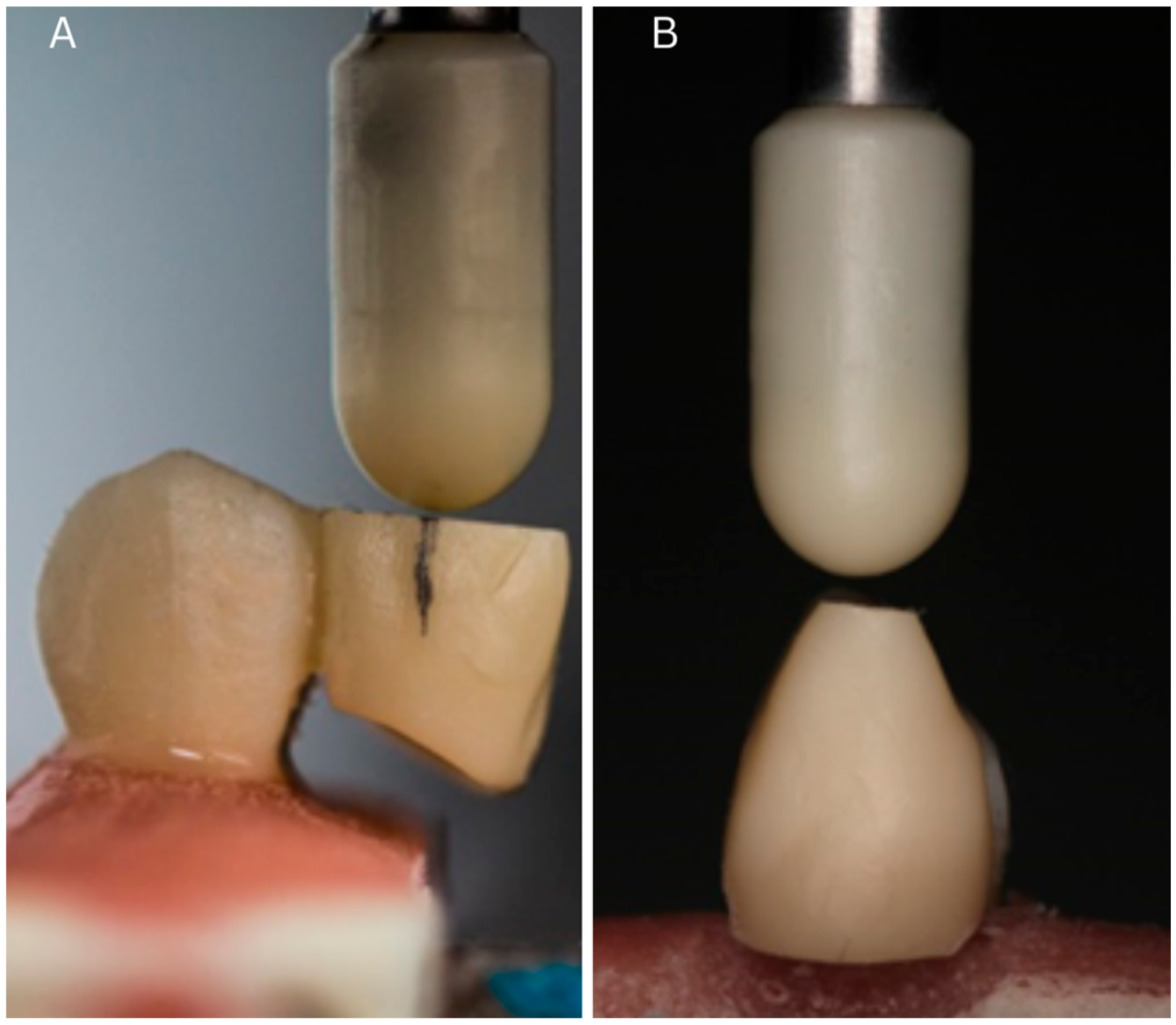 Biomimetics 10 00413 g003