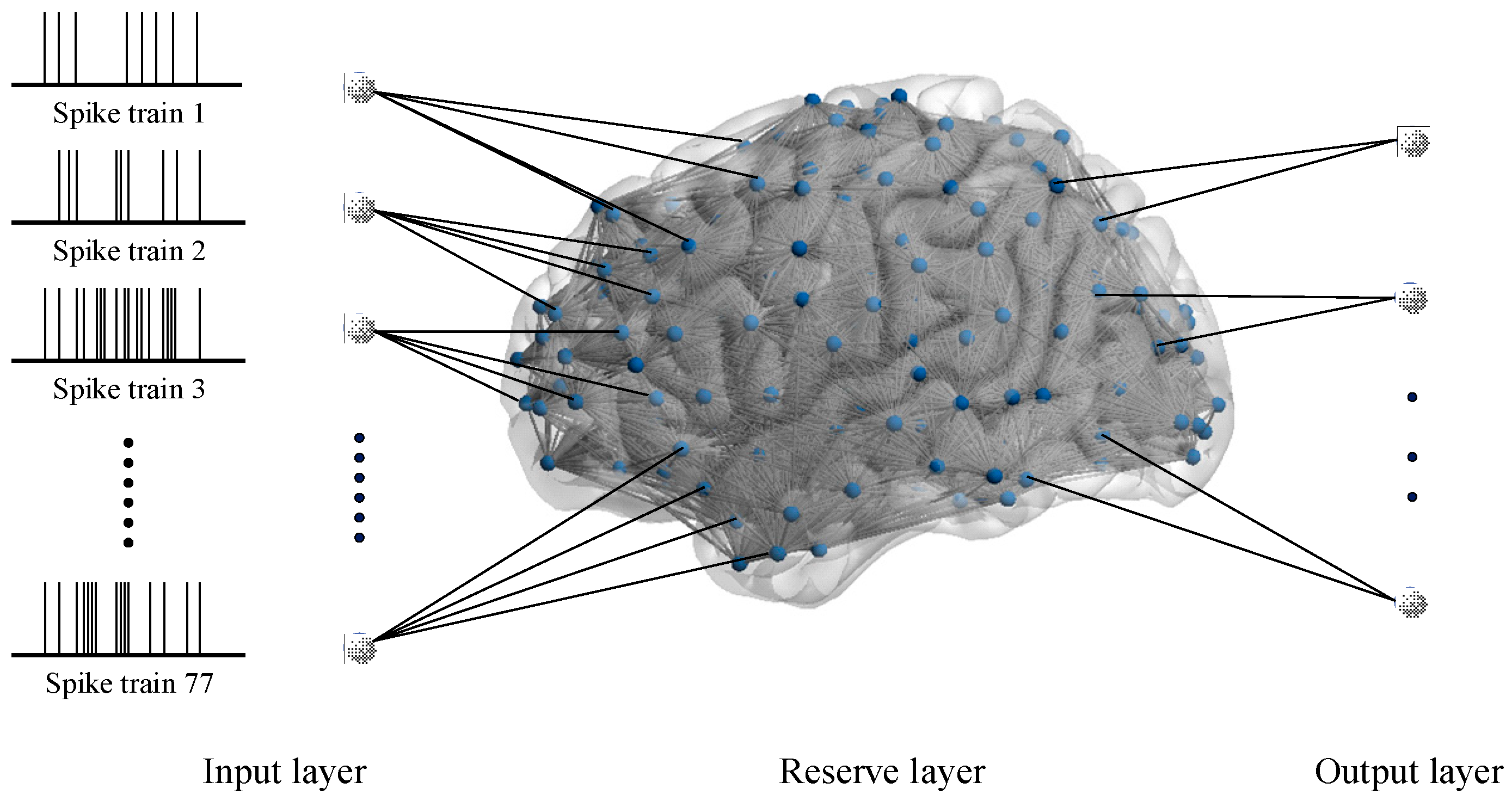 Biomimetics 10 00415 g007