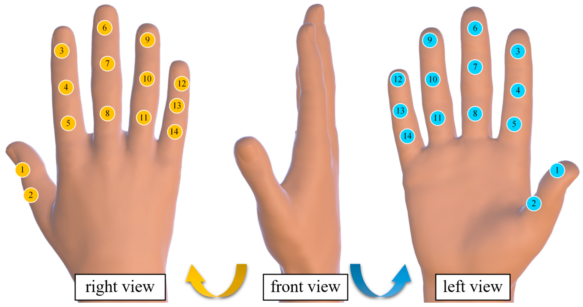 Biomimetics 10 00419 g002