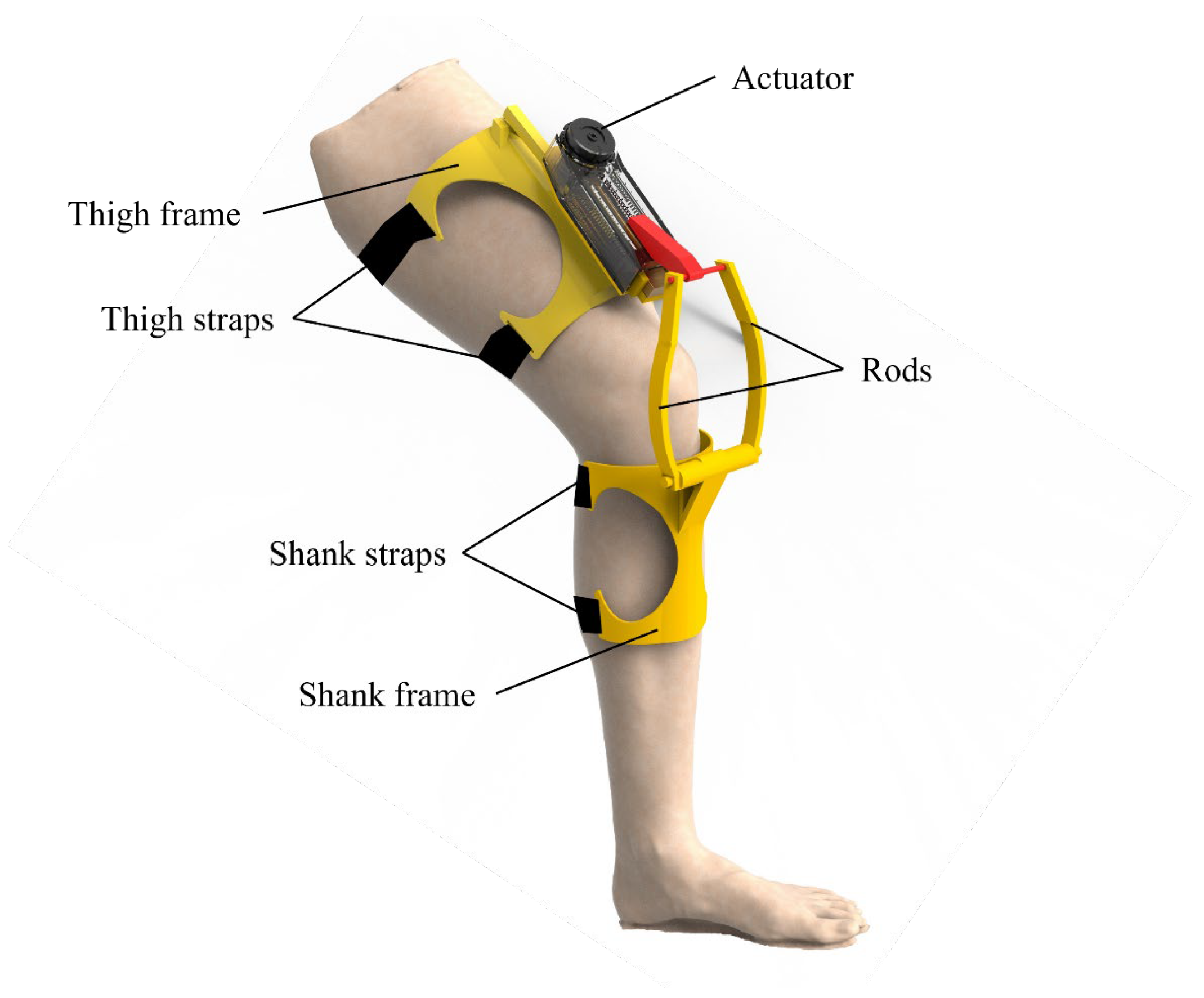 Biomimetics 10 00424 g004