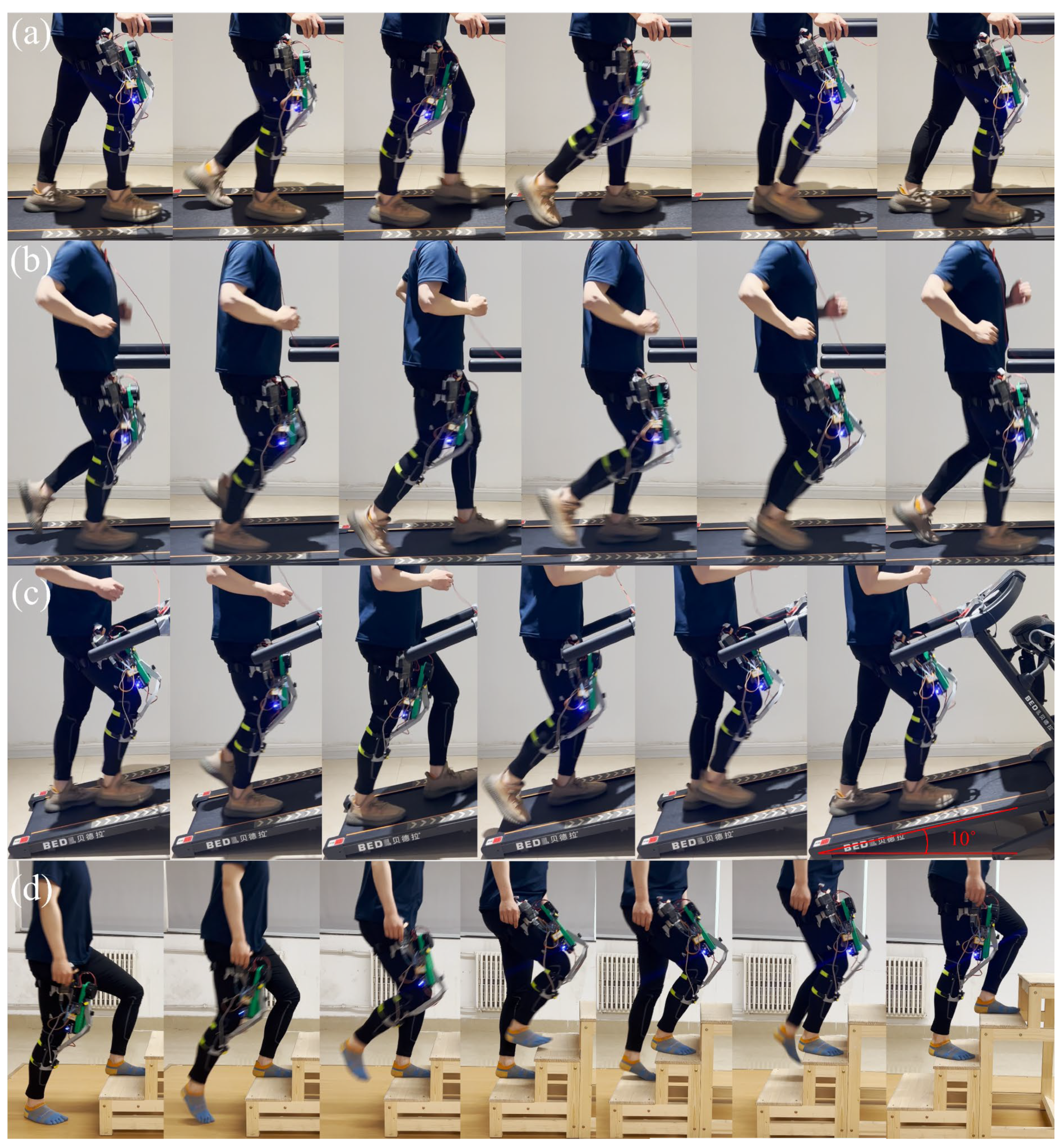 Biomimetics 10 00424 g015