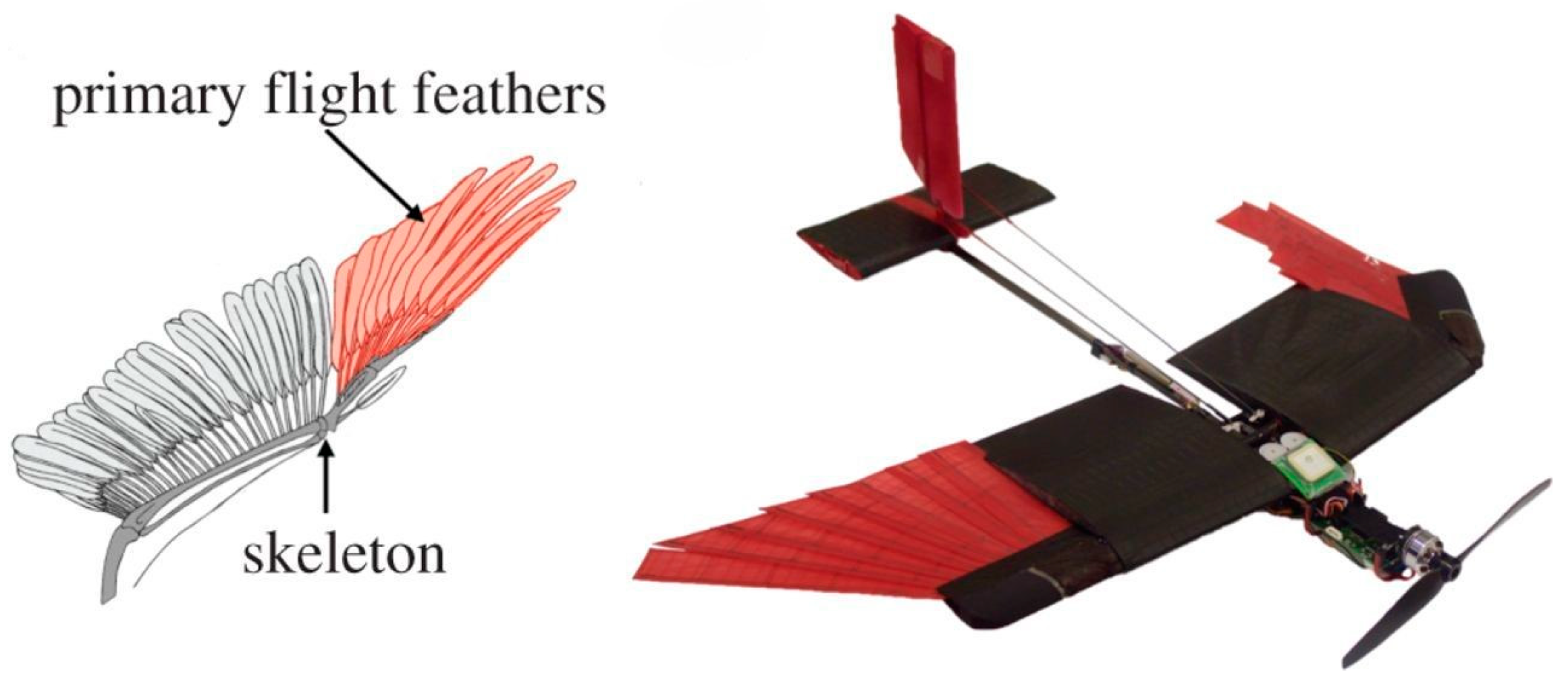 Biomimetics 10 00427 g002