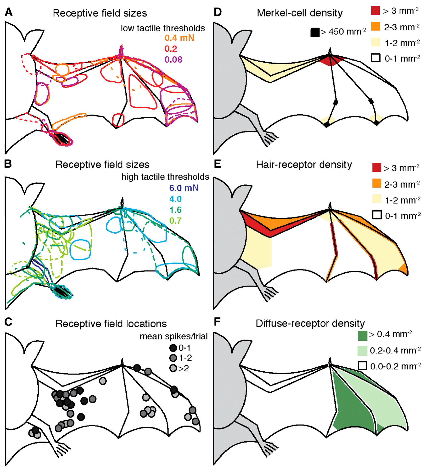 Biomimetics 10 00427 g004