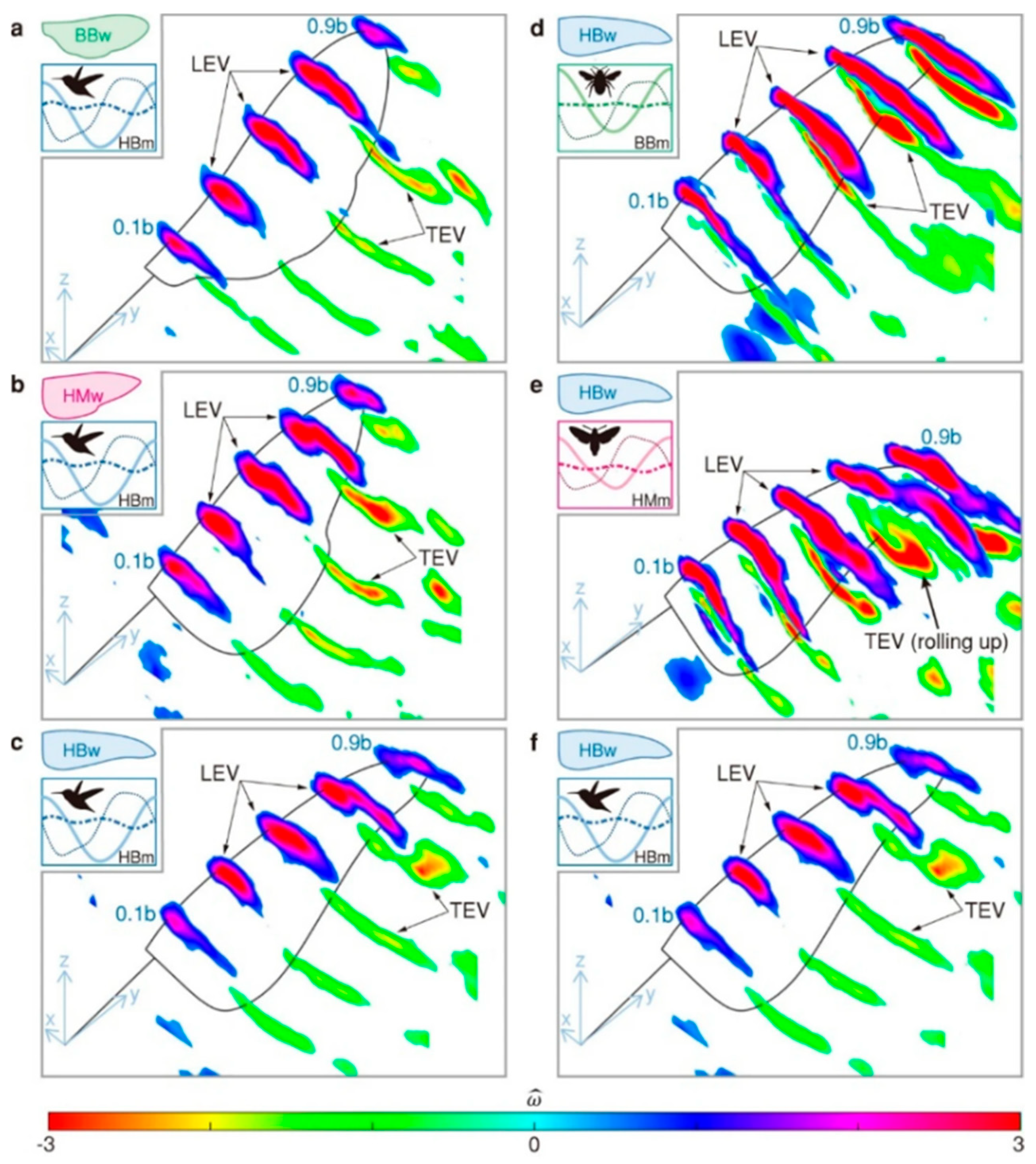 Biomimetics 10 00427 g008
