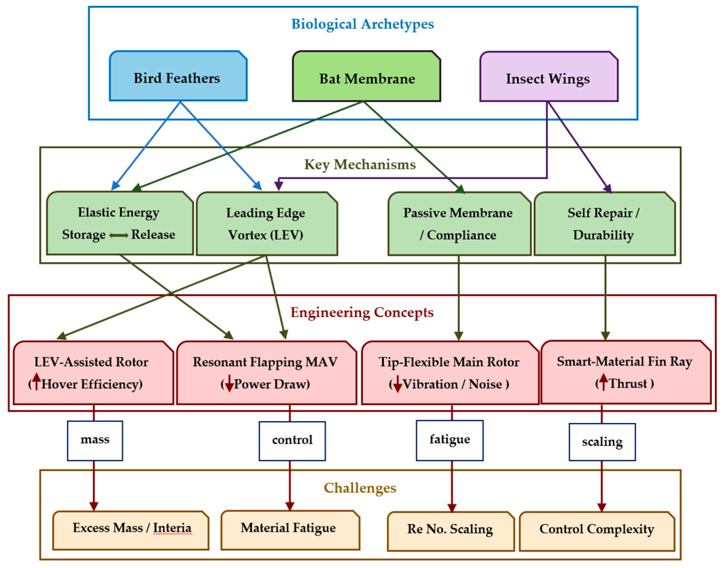 Biomimetics 10 00427 g011