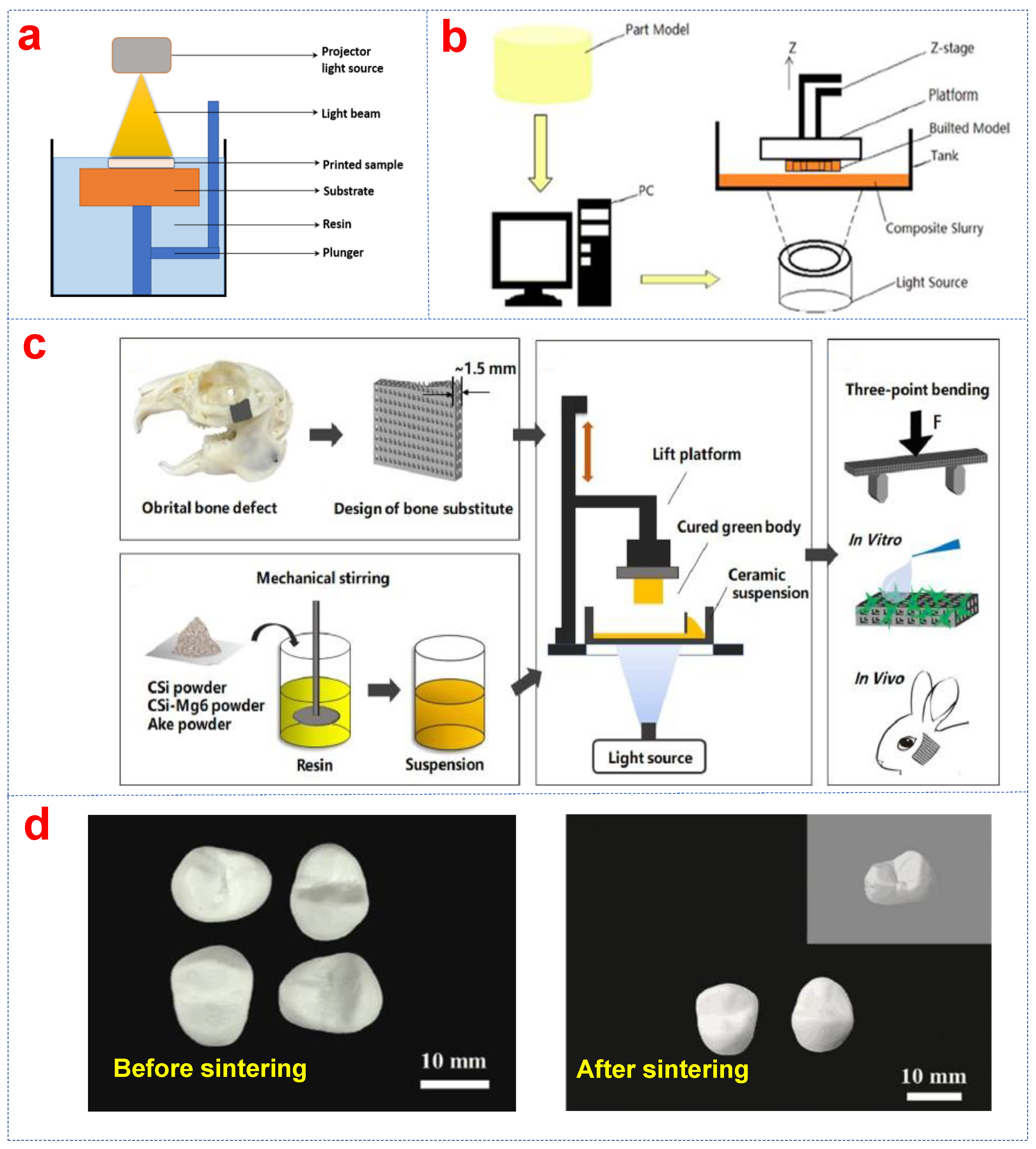 Biomimetics 10 00428 g001
