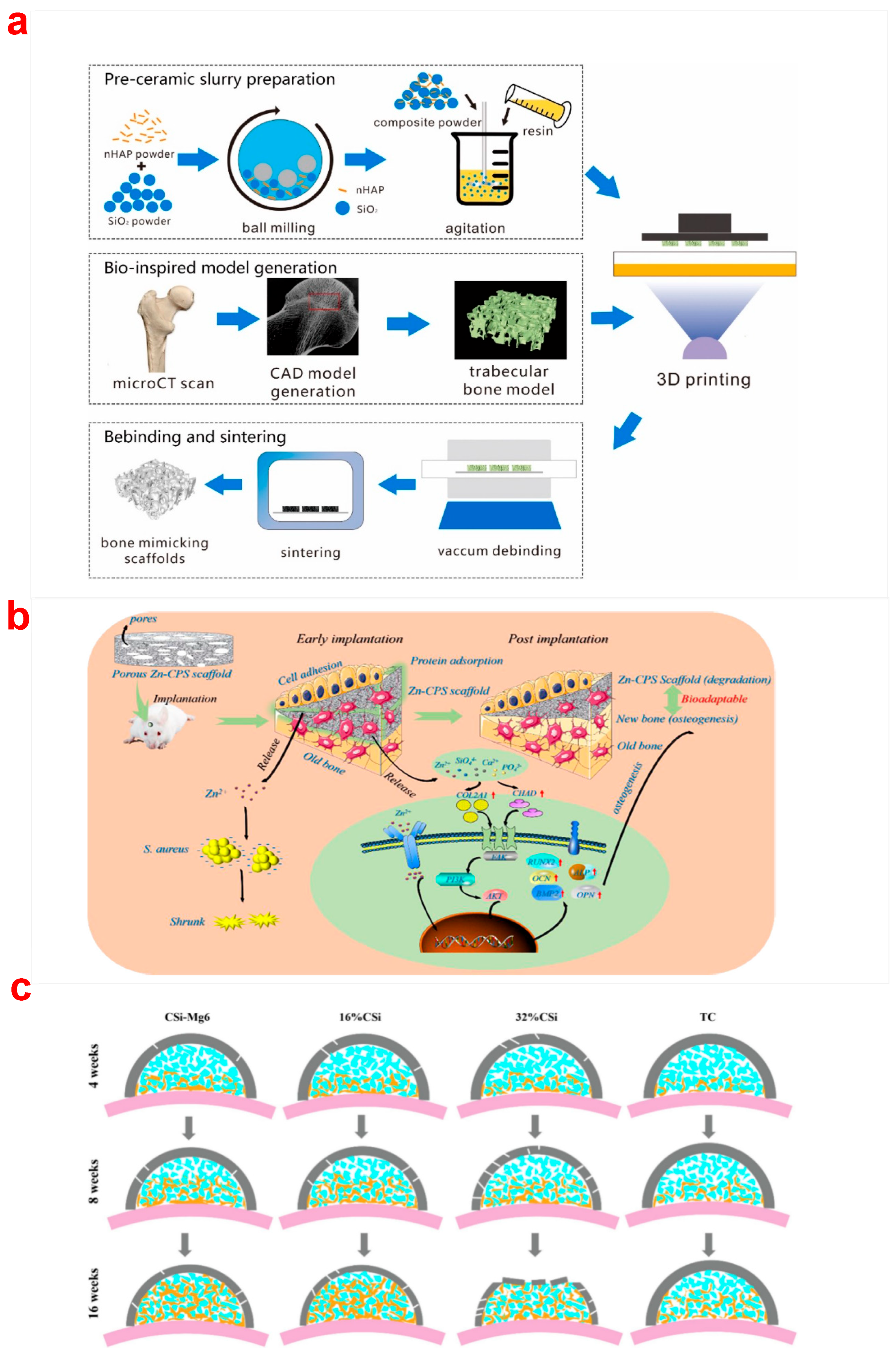 Biomimetics 10 00428 g003