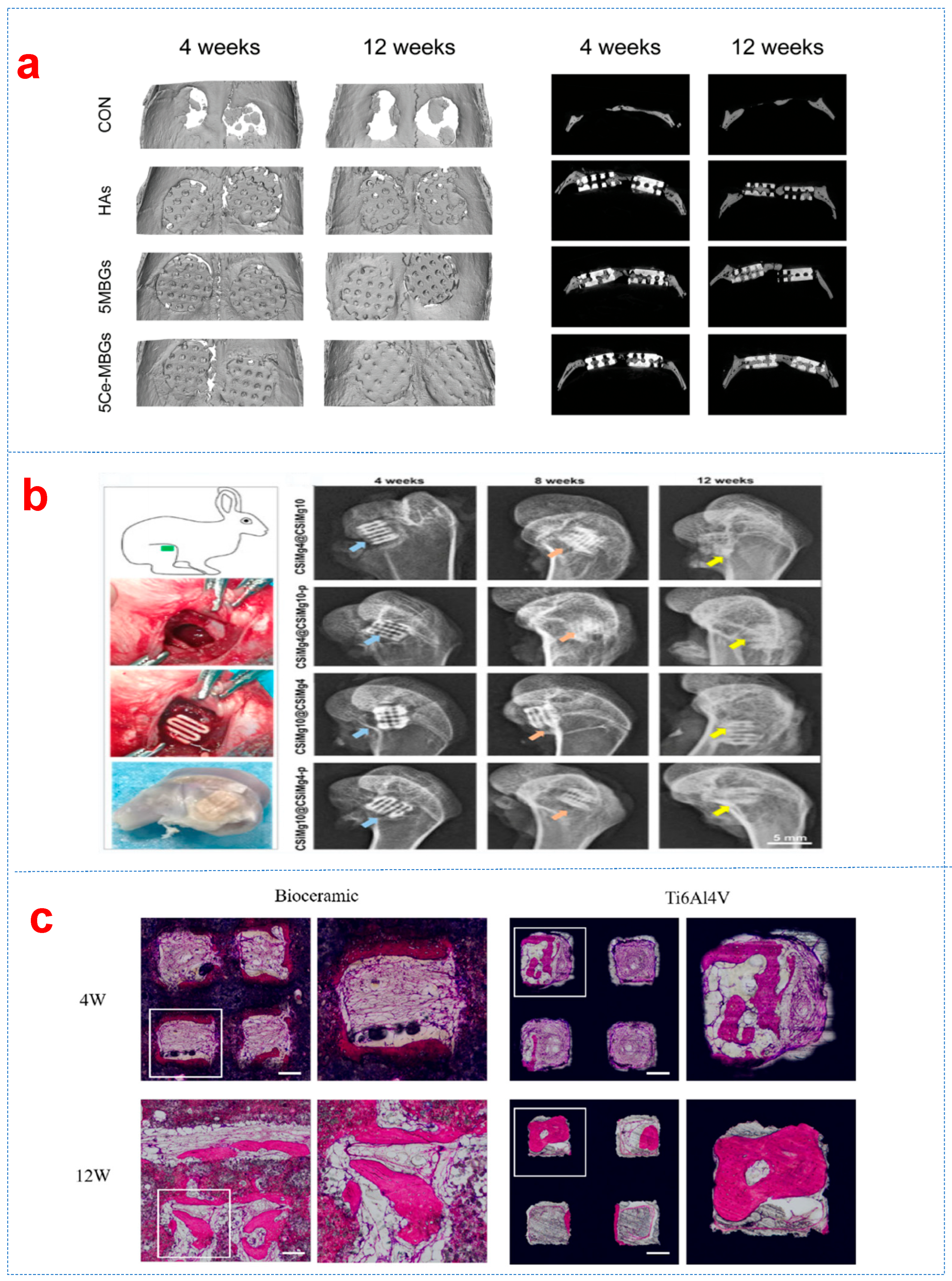 Biomimetics 10 00428 g006