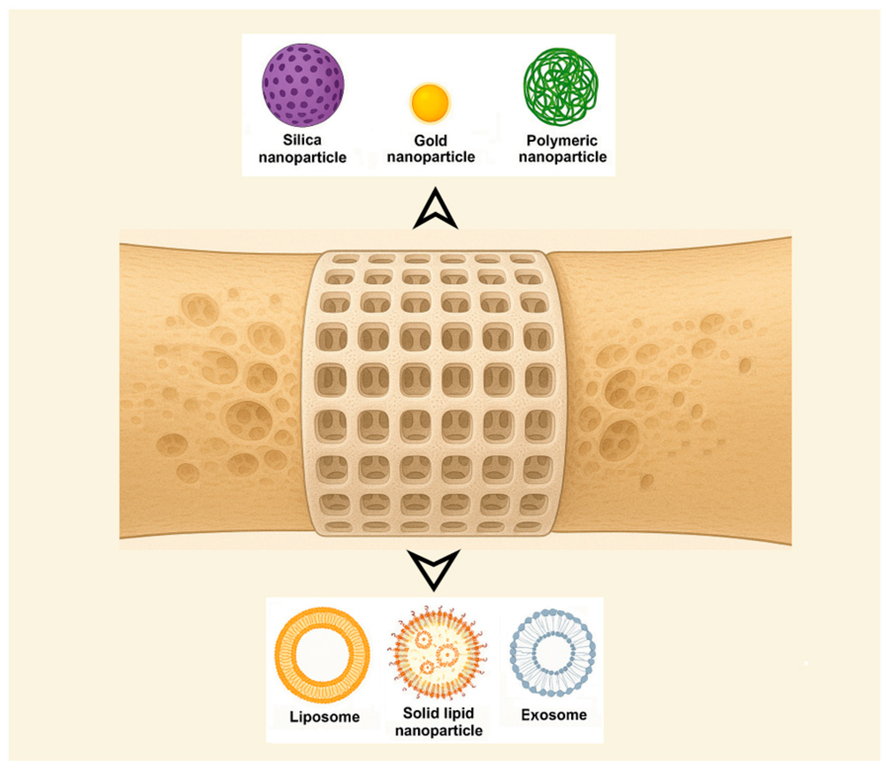 Biomimetics 10 00429 g003
