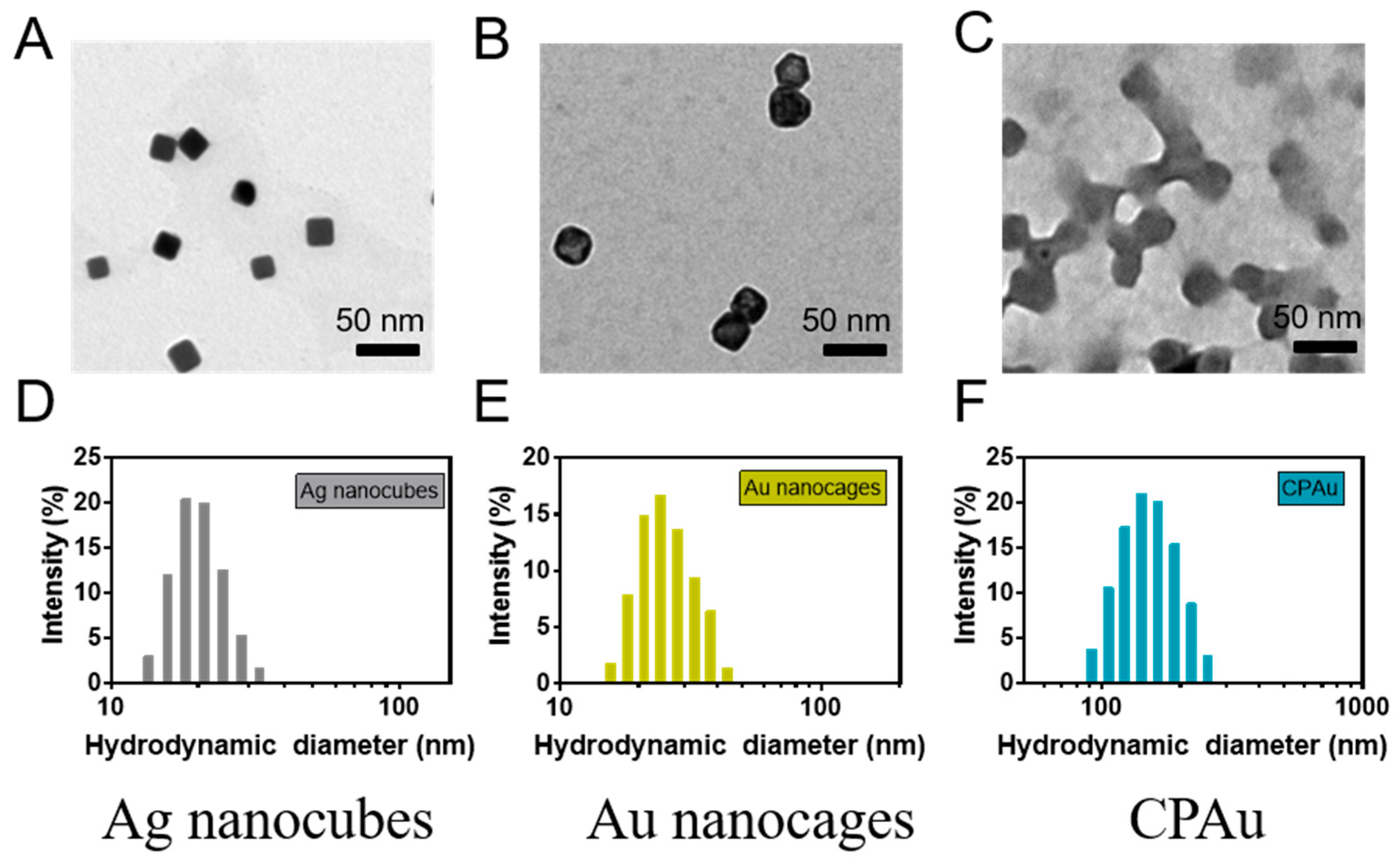 Biomimetics 10 00430 g001