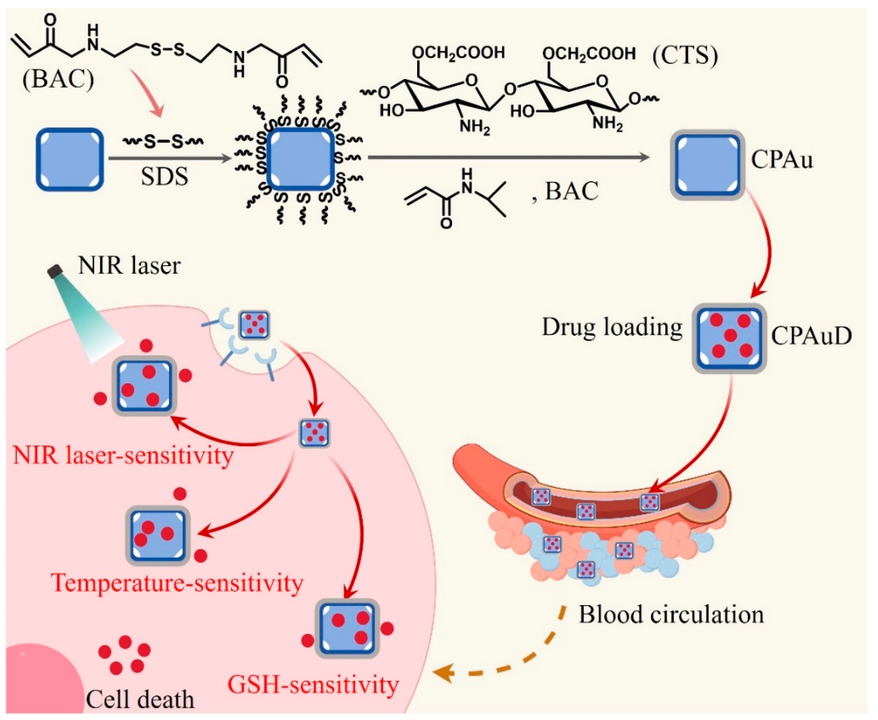 Biomimetics 10 00430 sch001