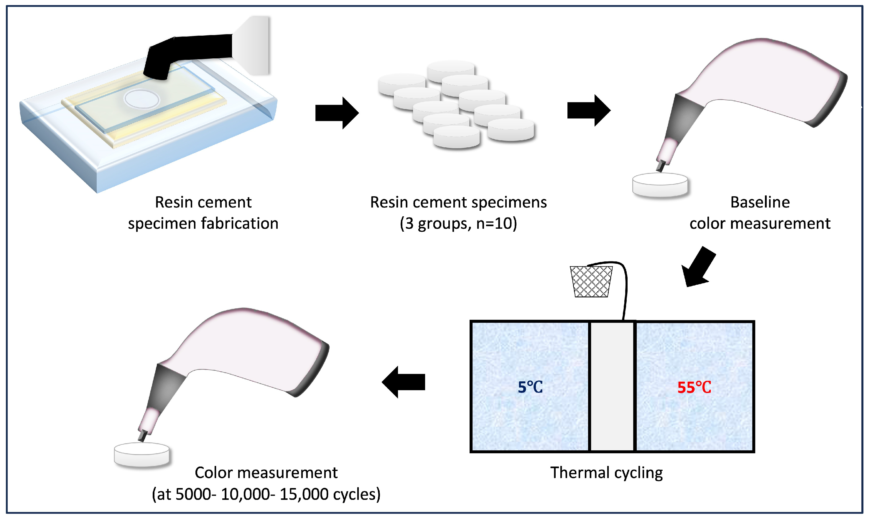 Biomimetics 10 00432 g001