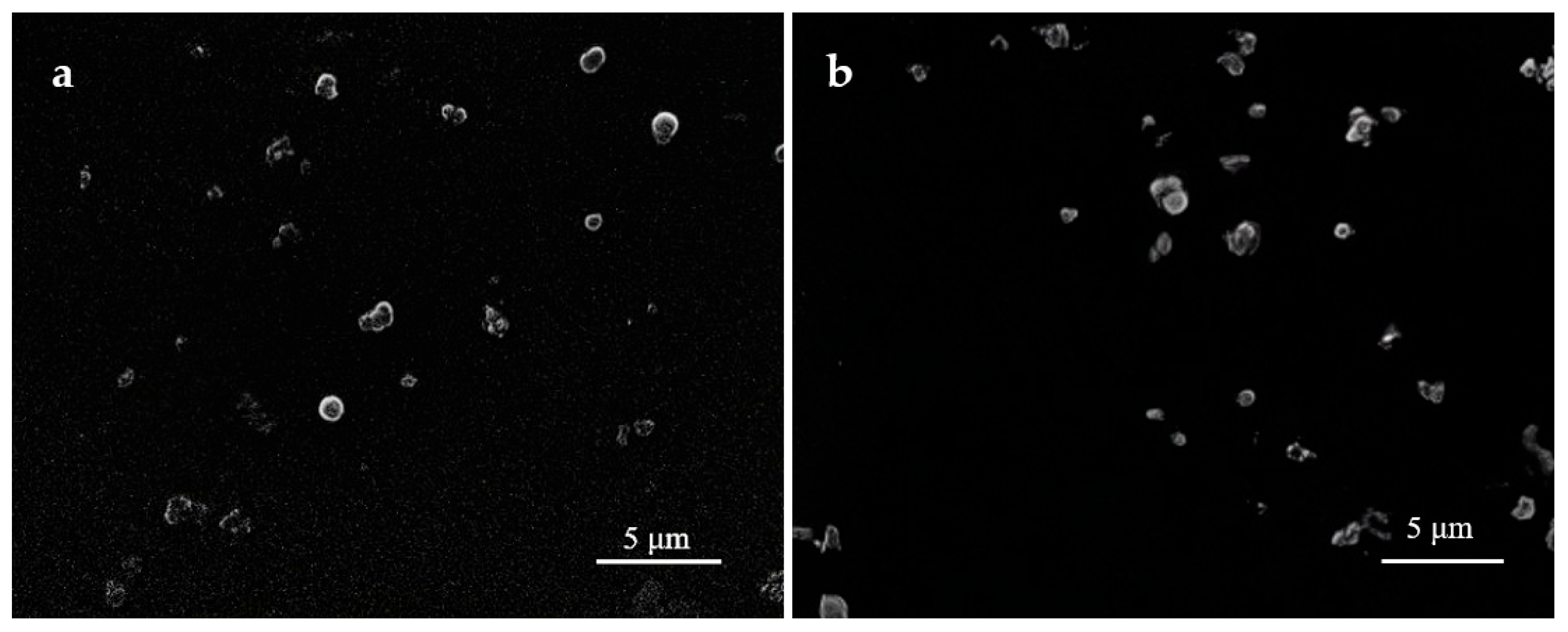 Biomimetics 10 00434 g001