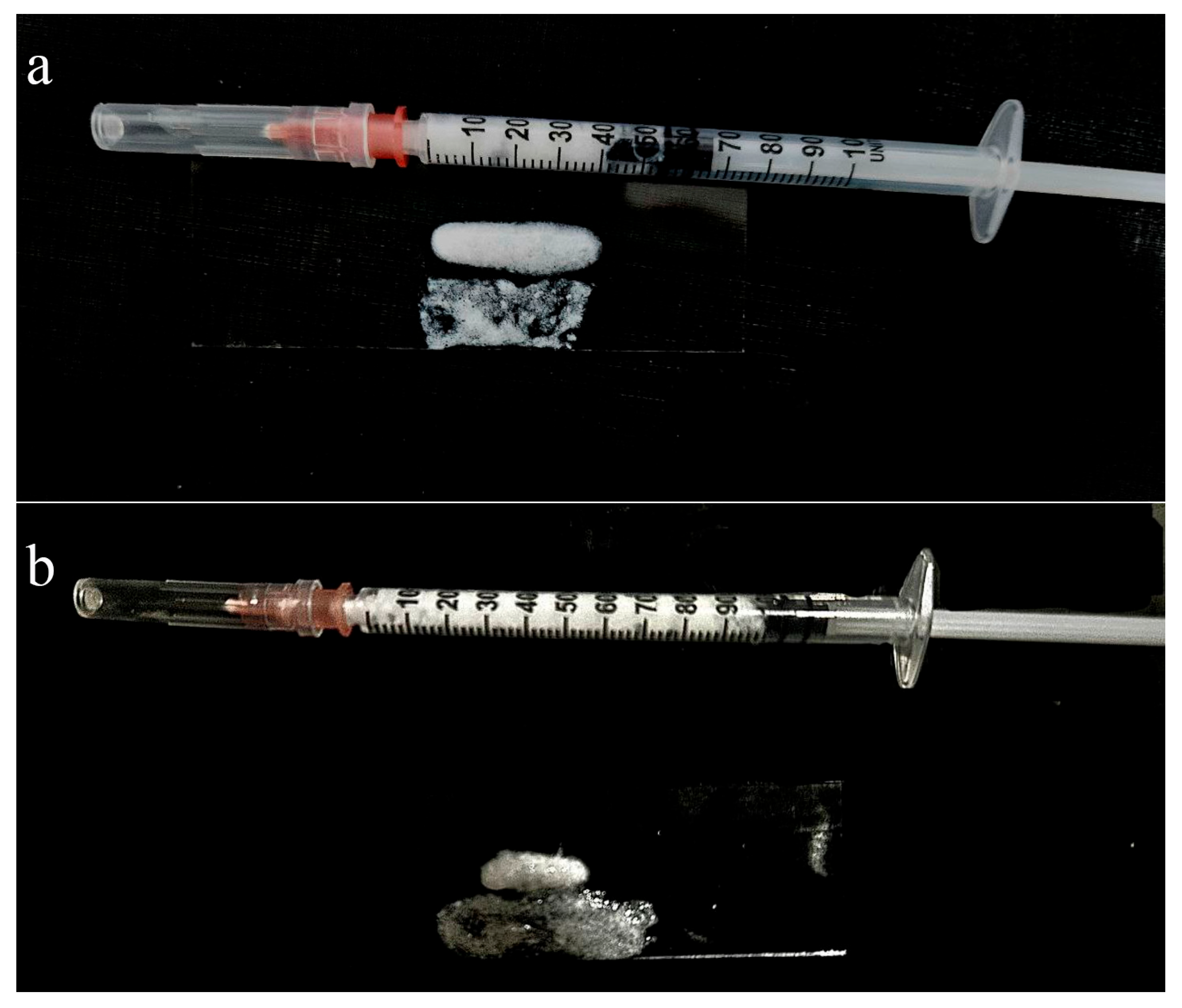 Biomimetics 10 00434 g003