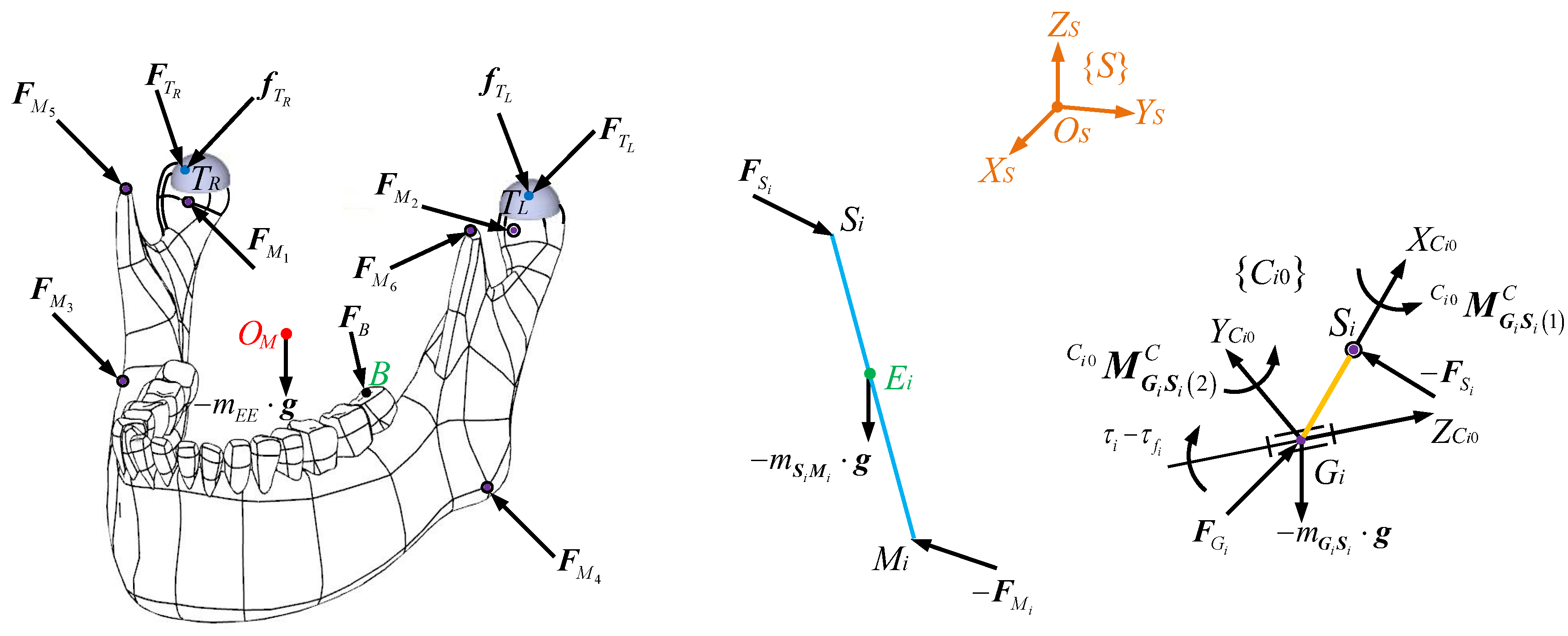 Biomimetics 10 00437 g003