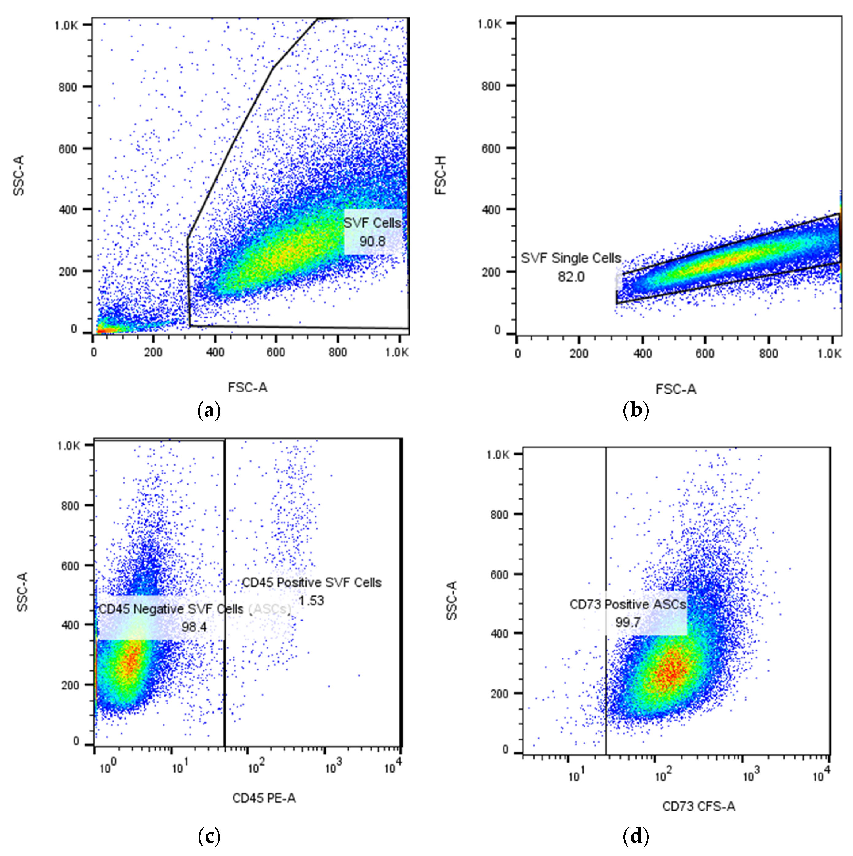 Biomimetics 10 00438 g002a