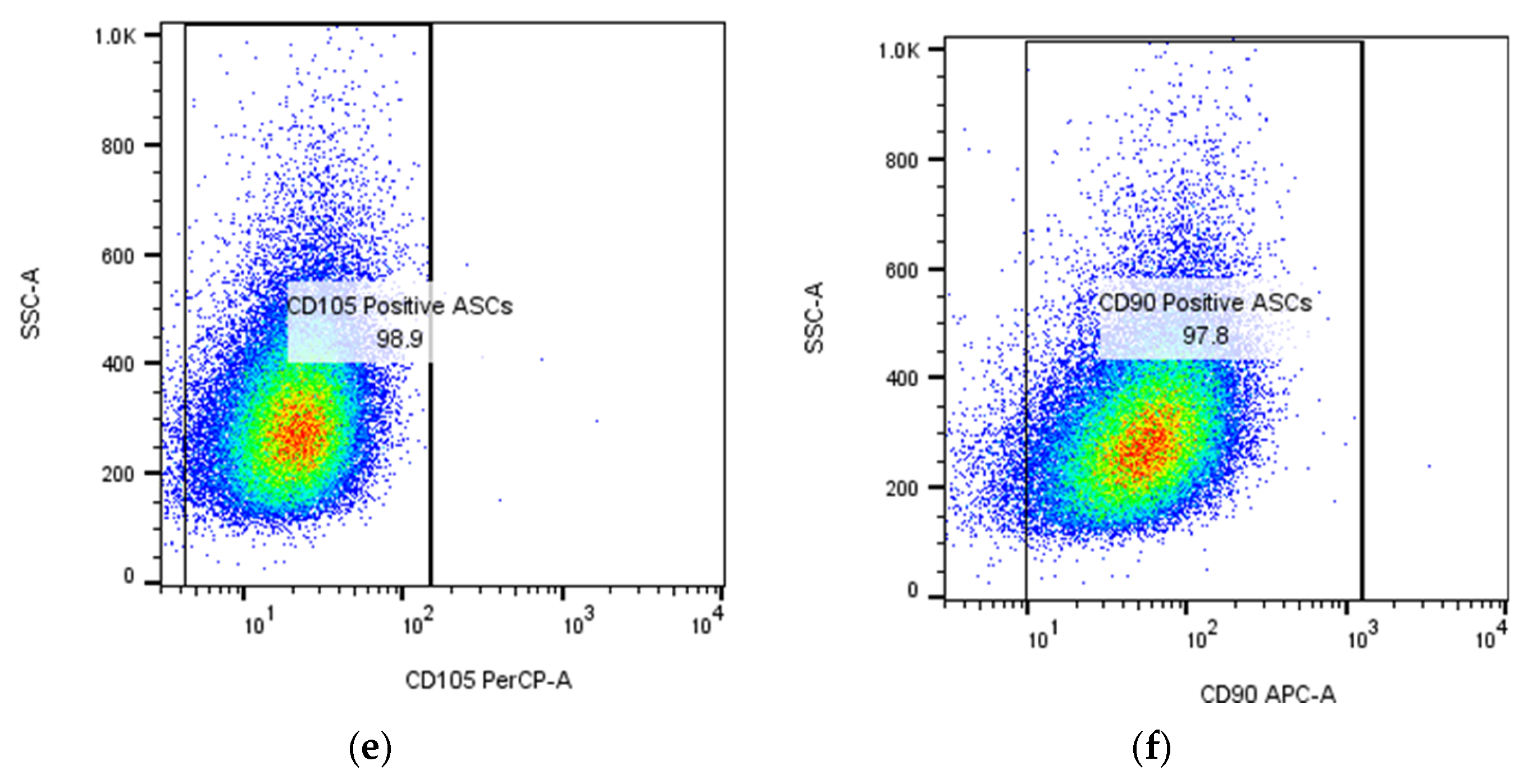 Biomimetics 10 00438 g002b