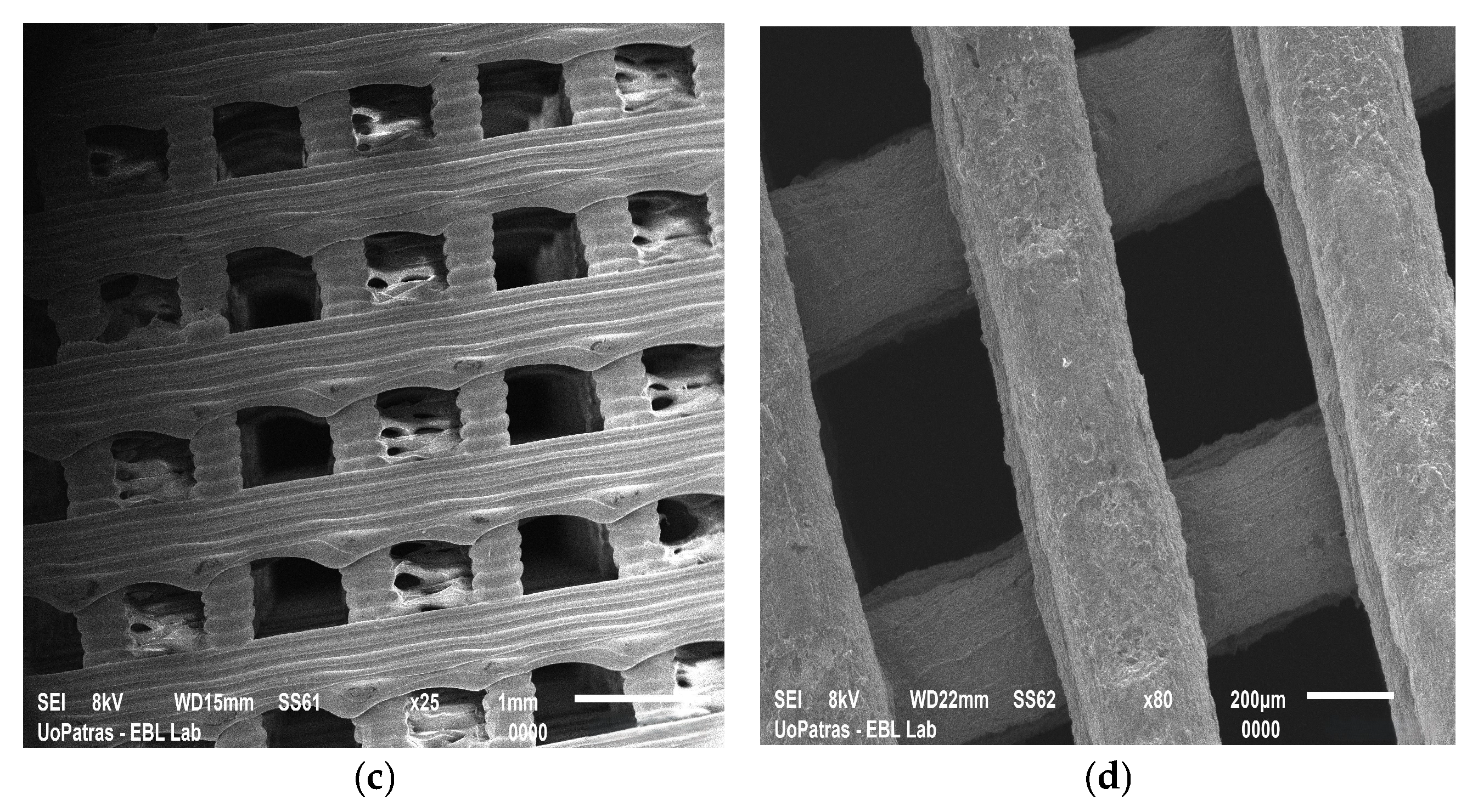 Biomimetics 10 00438 g004b