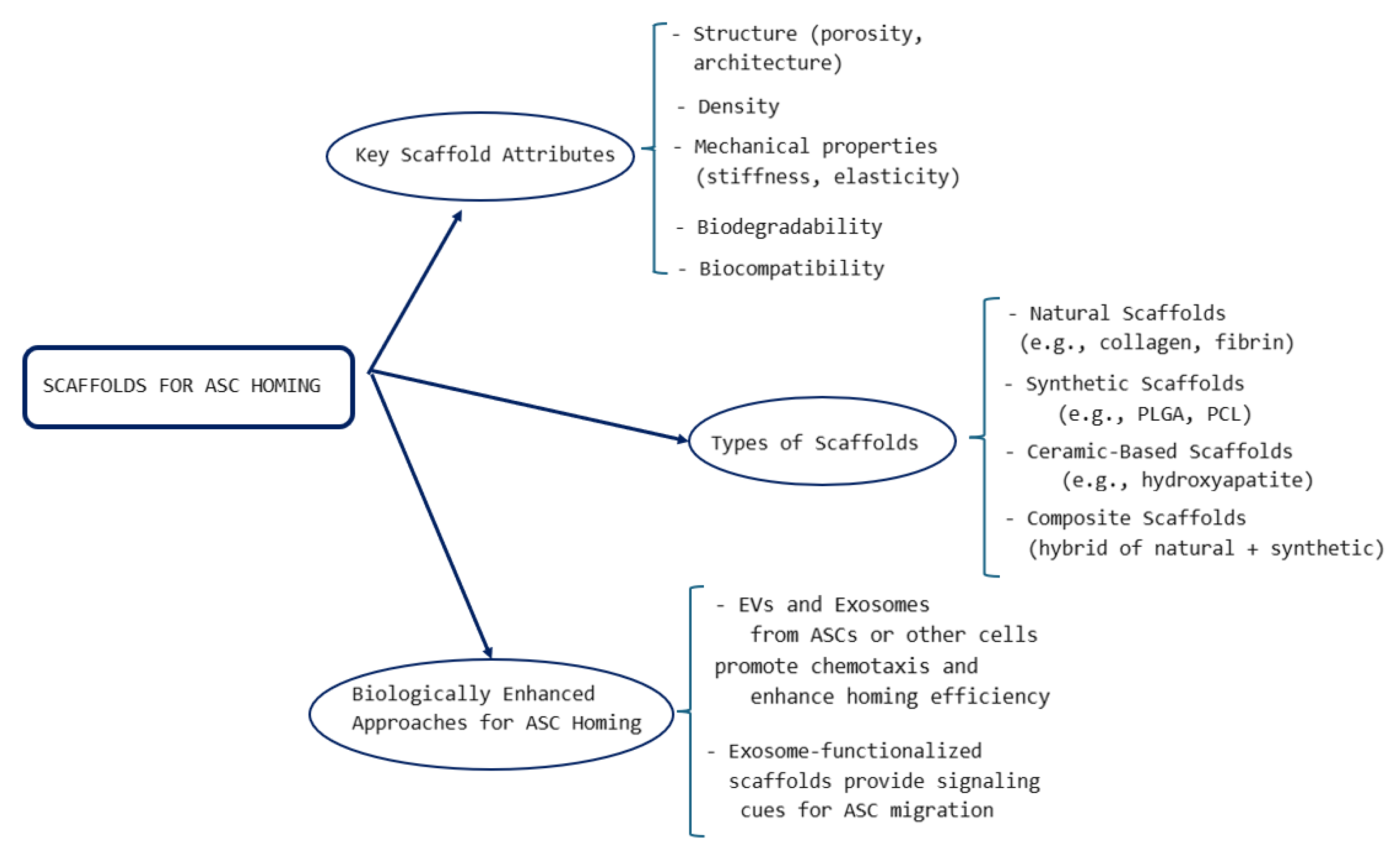 Biomimetics 10 00438 g005