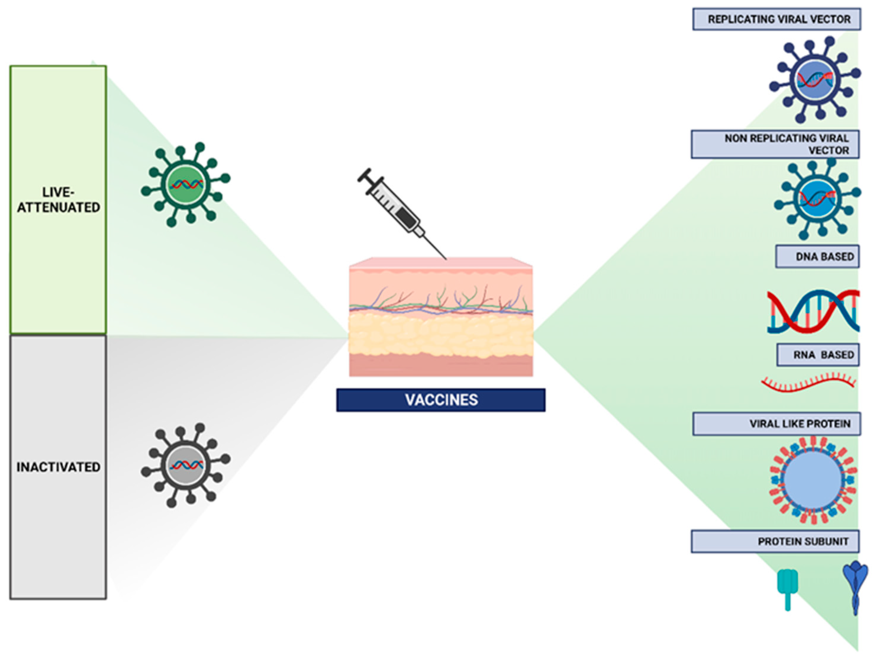 Biomimetics 10 00439 g001