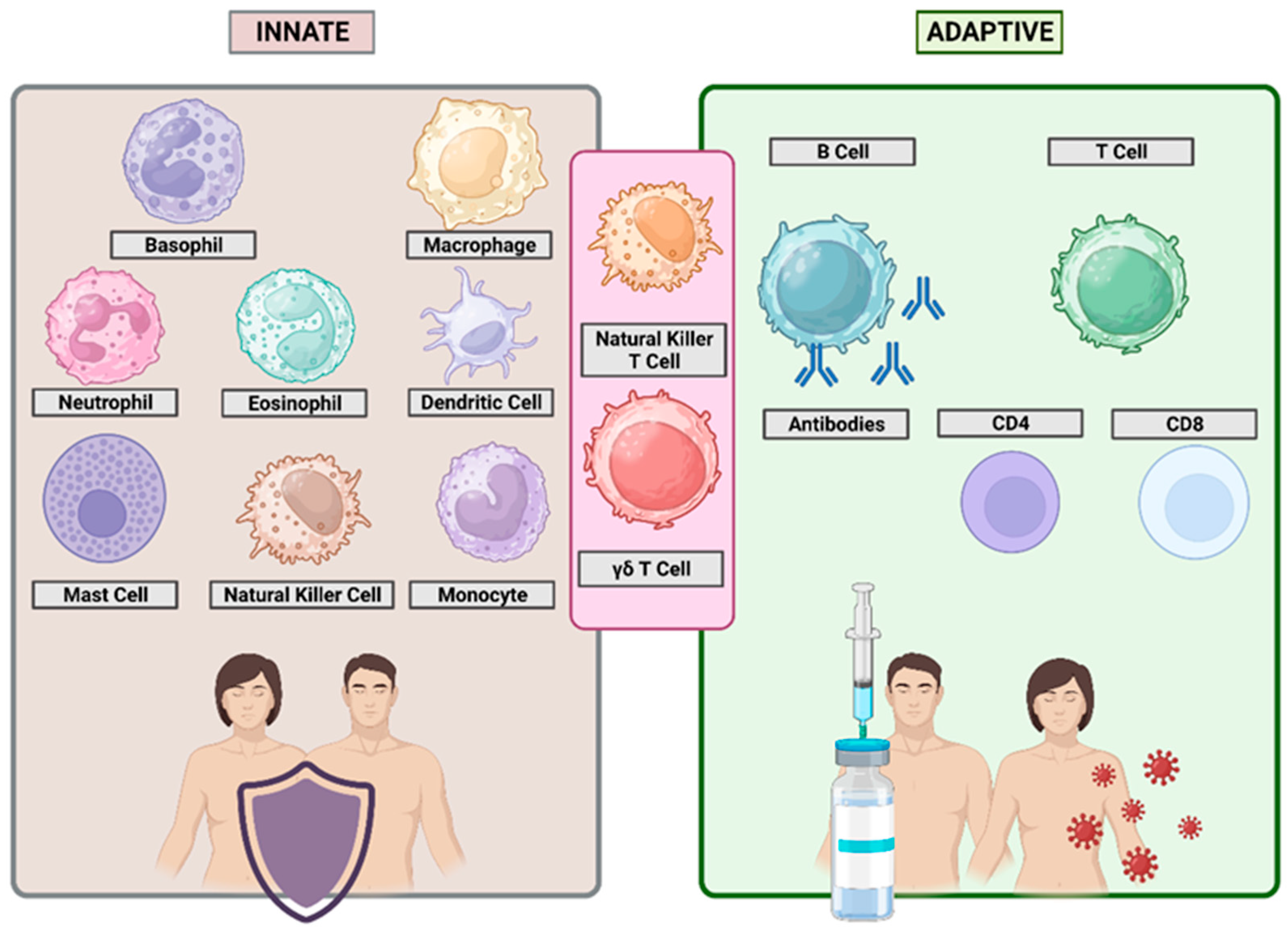 Biomimetics 10 00439 g002