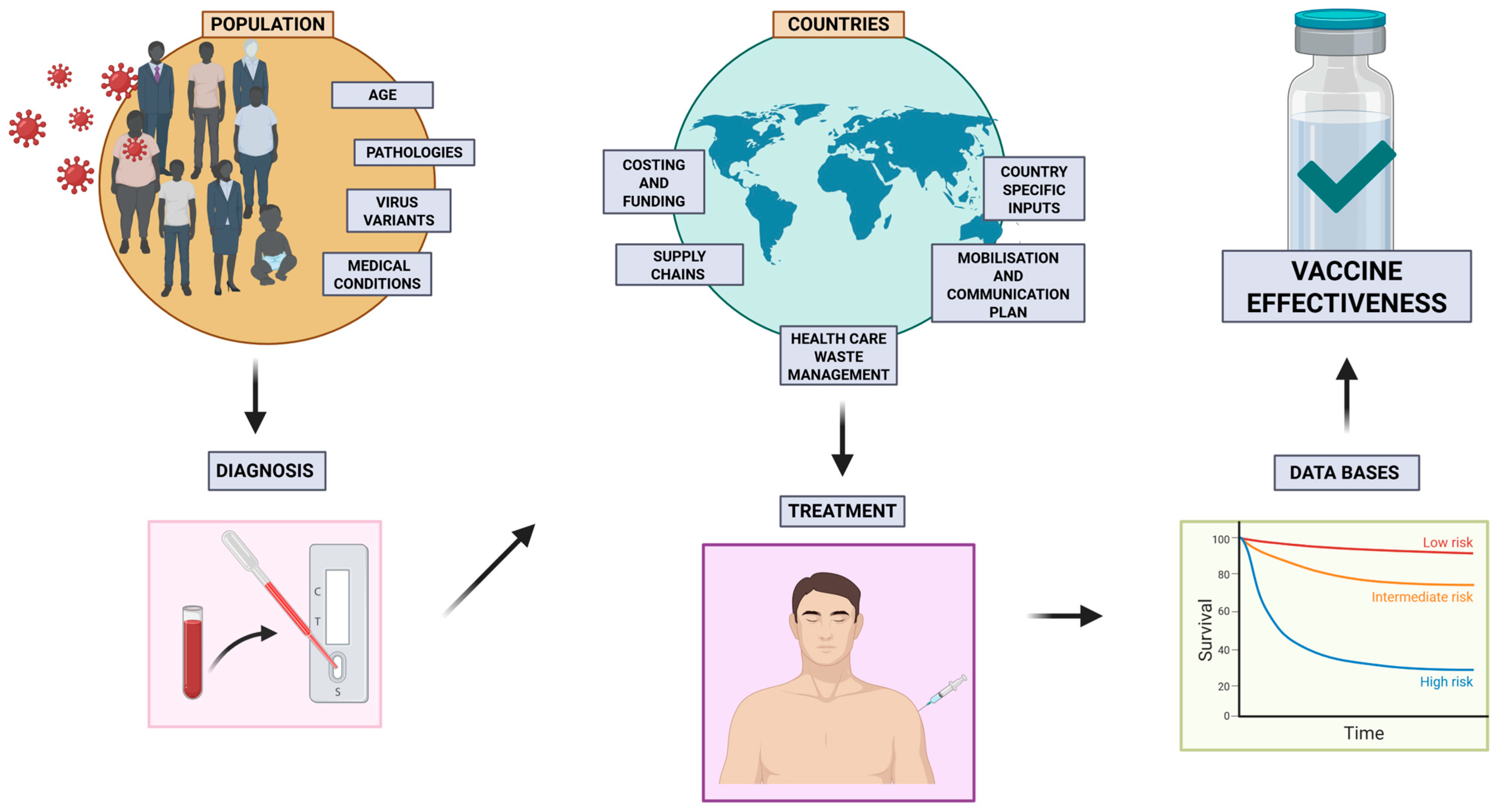 Biomimetics 10 00439 g003