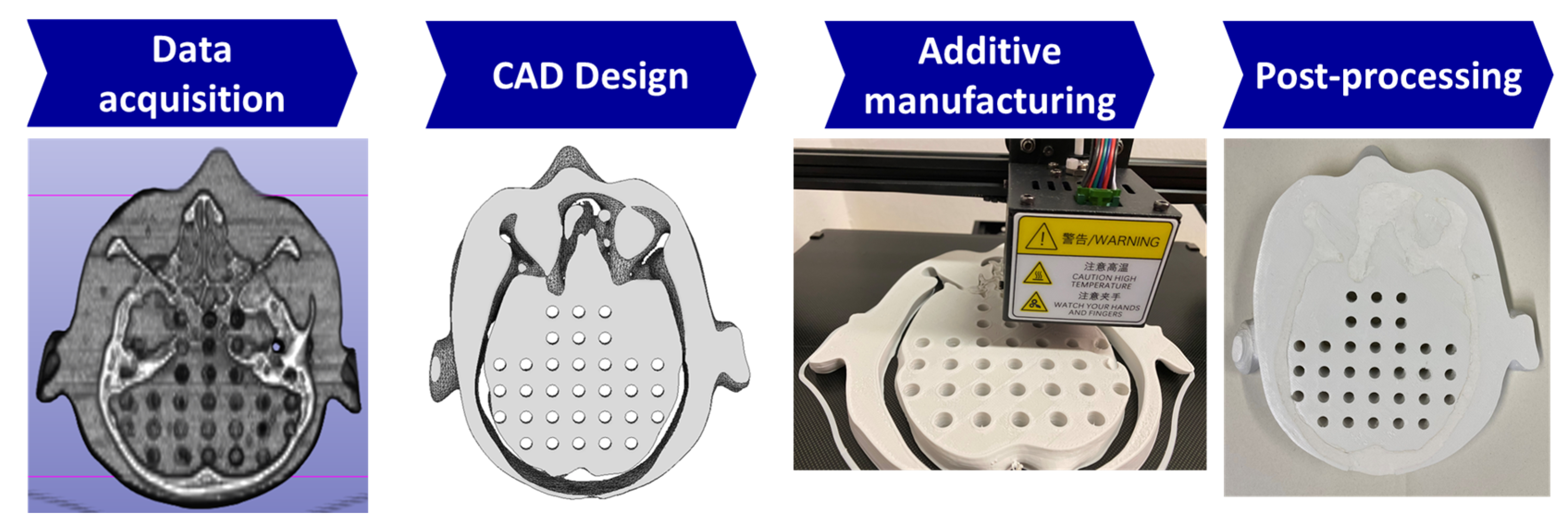 Biomimetics 10 00440 g001