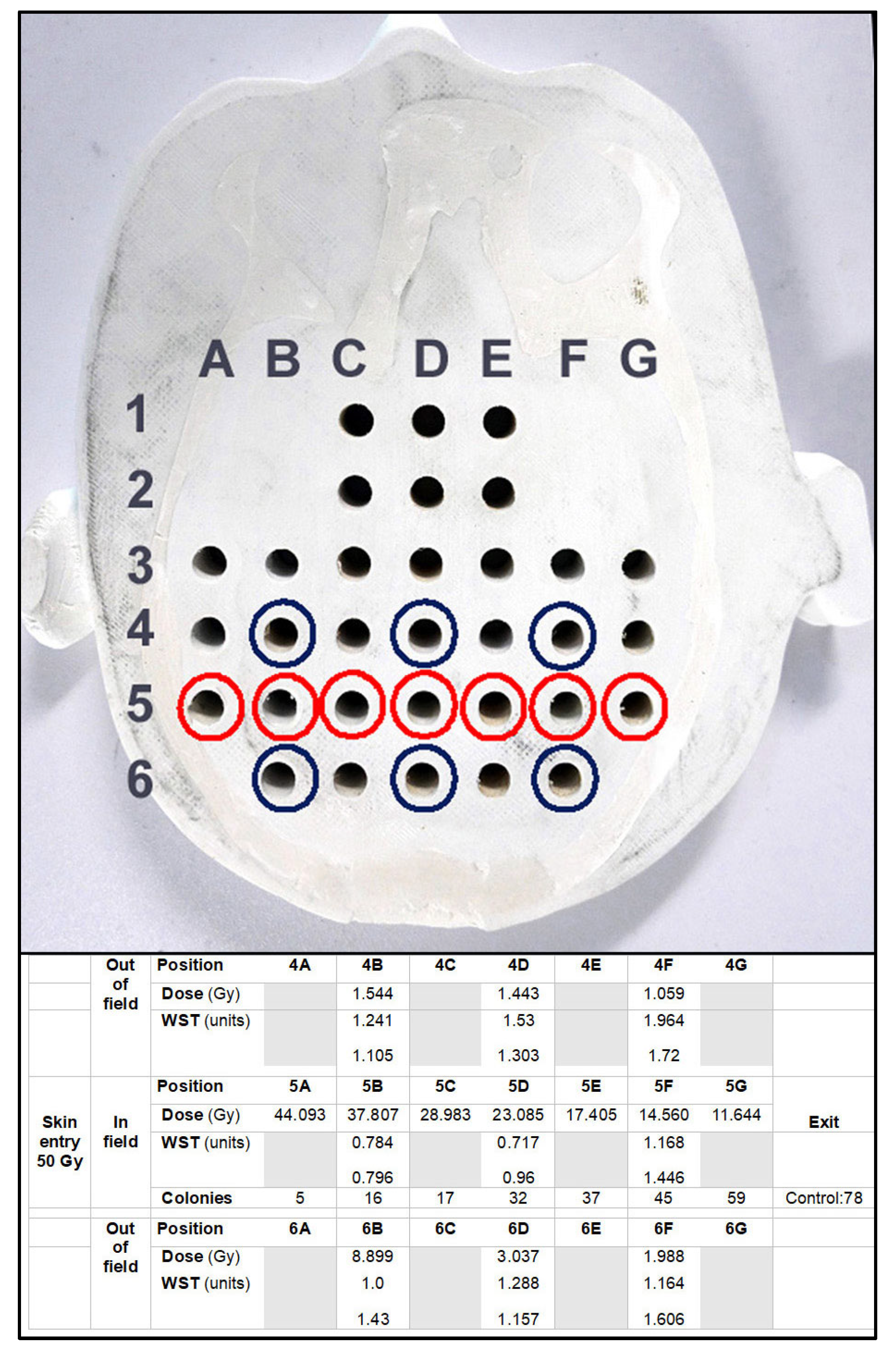 Biomimetics 10 00440 g004