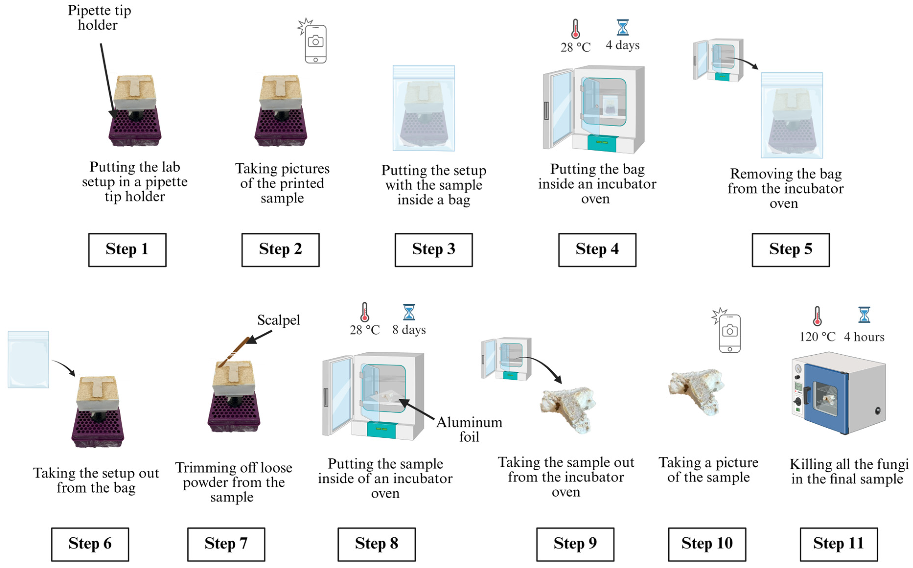 Biomimetics 10 00441 g007
