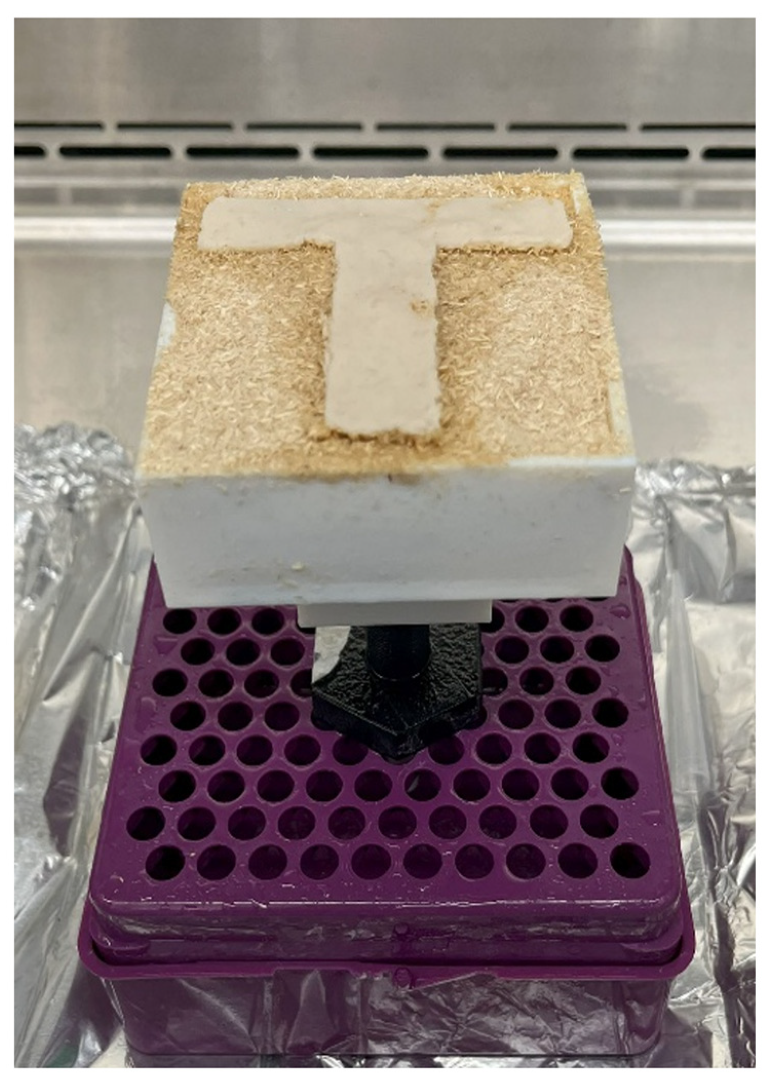 Biomimetics 10 00441 g009