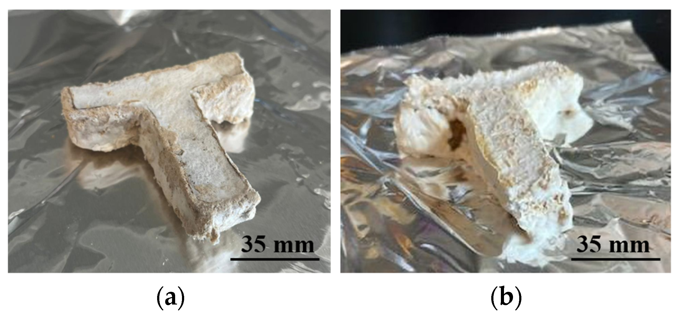 Biomimetics 10 00441 g010