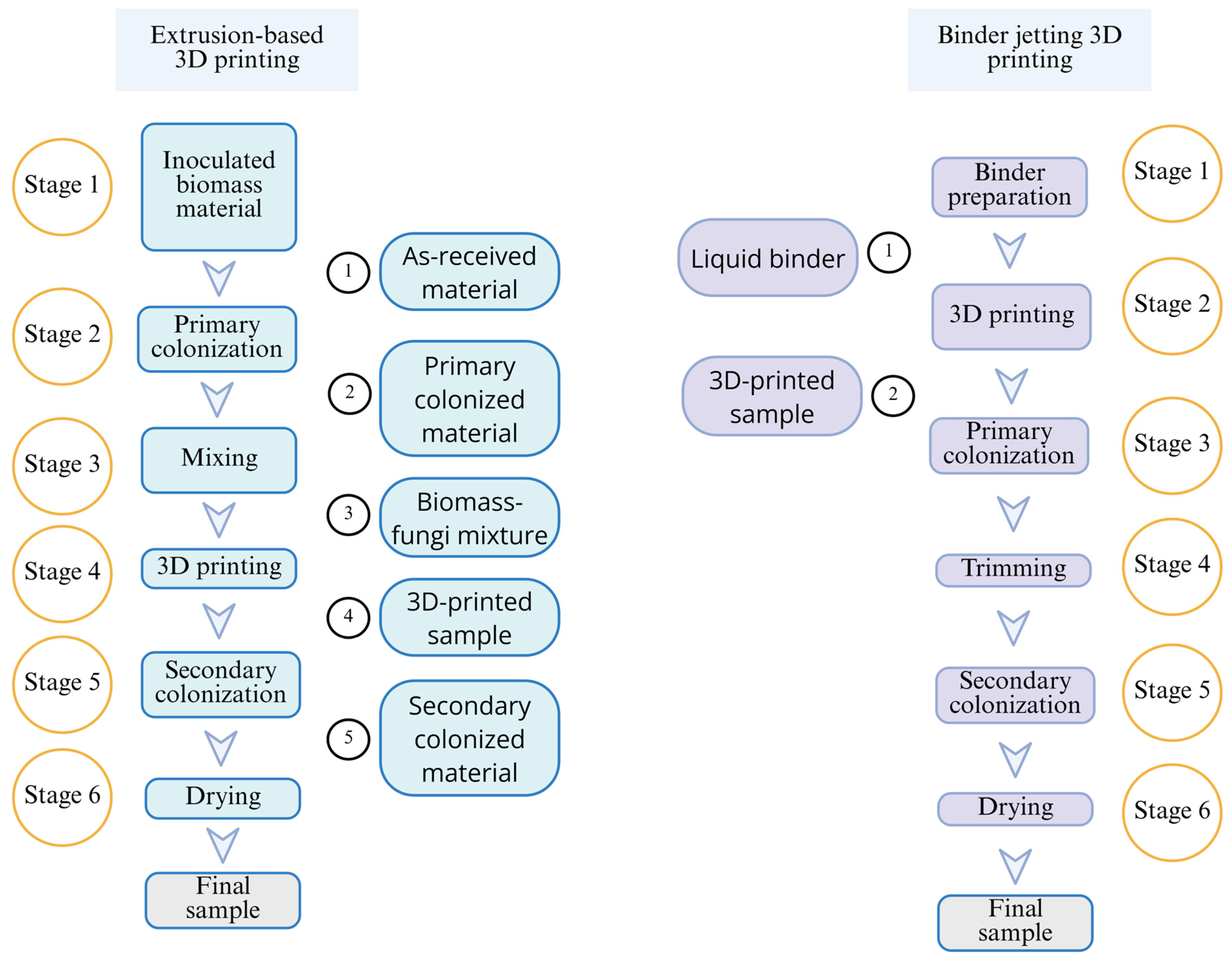 Biomimetics 10 00441 g011
