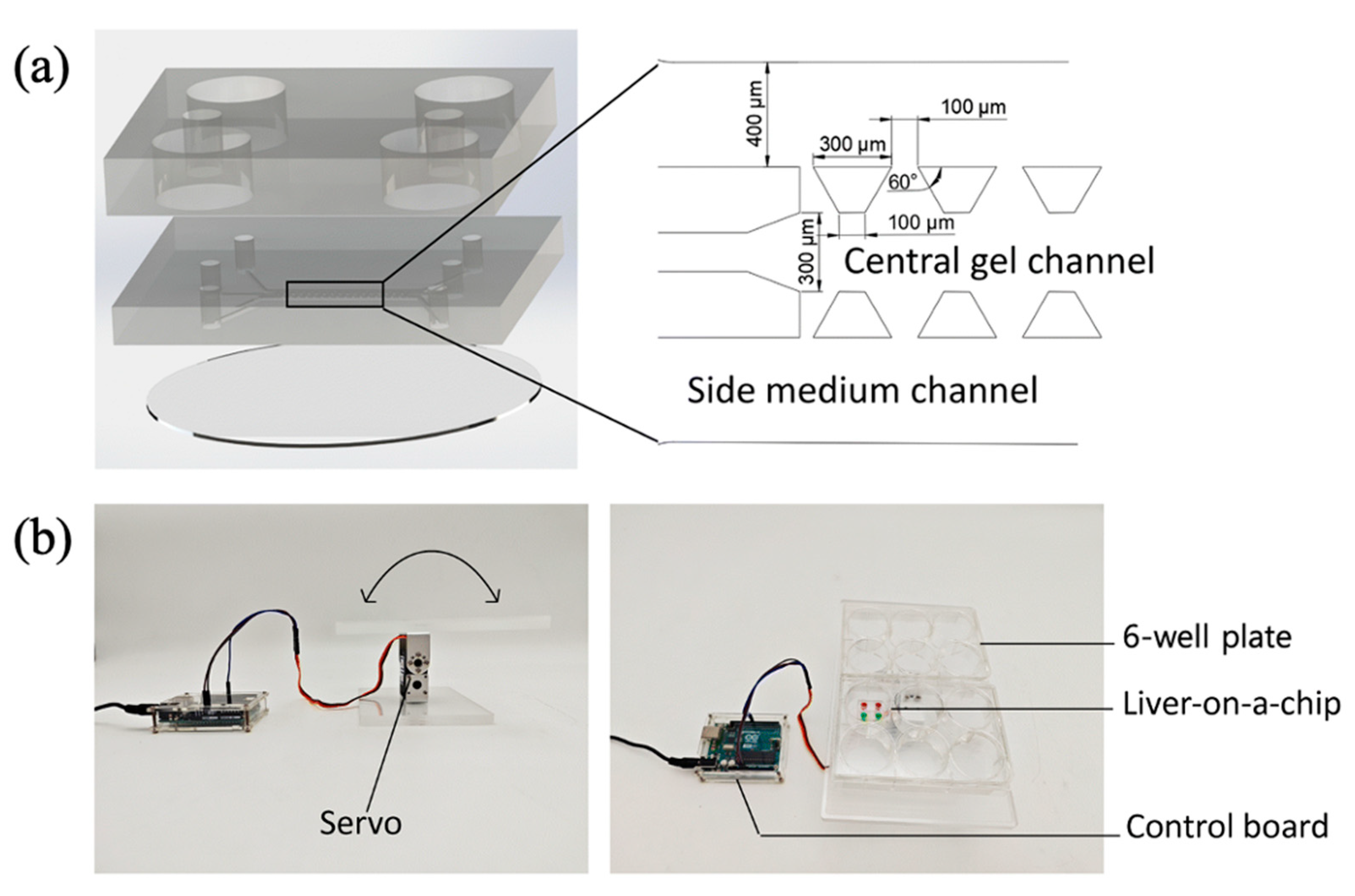 Biomimetics 10 00443 g002