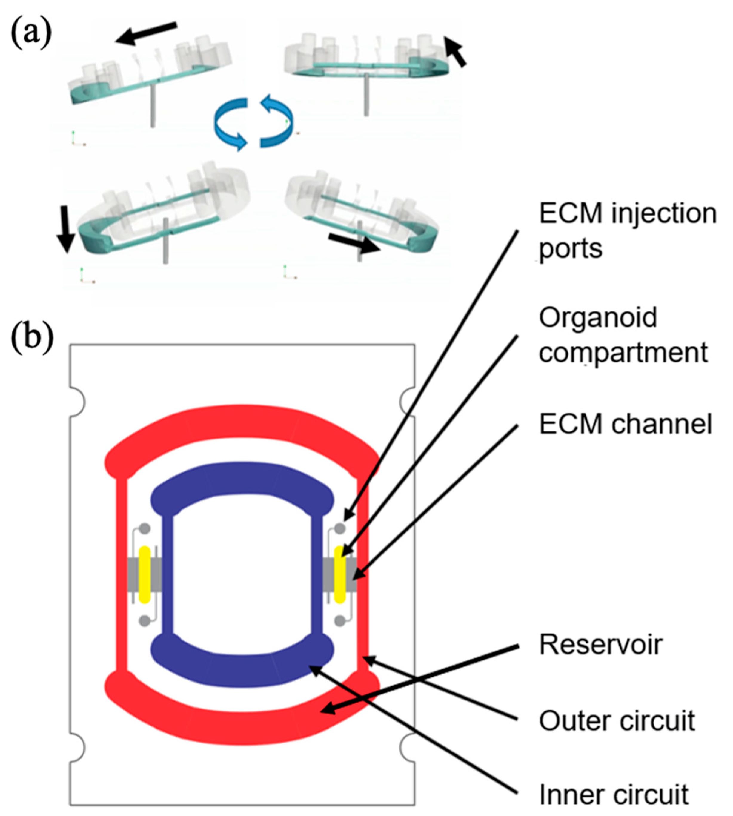 Biomimetics 10 00443 g003