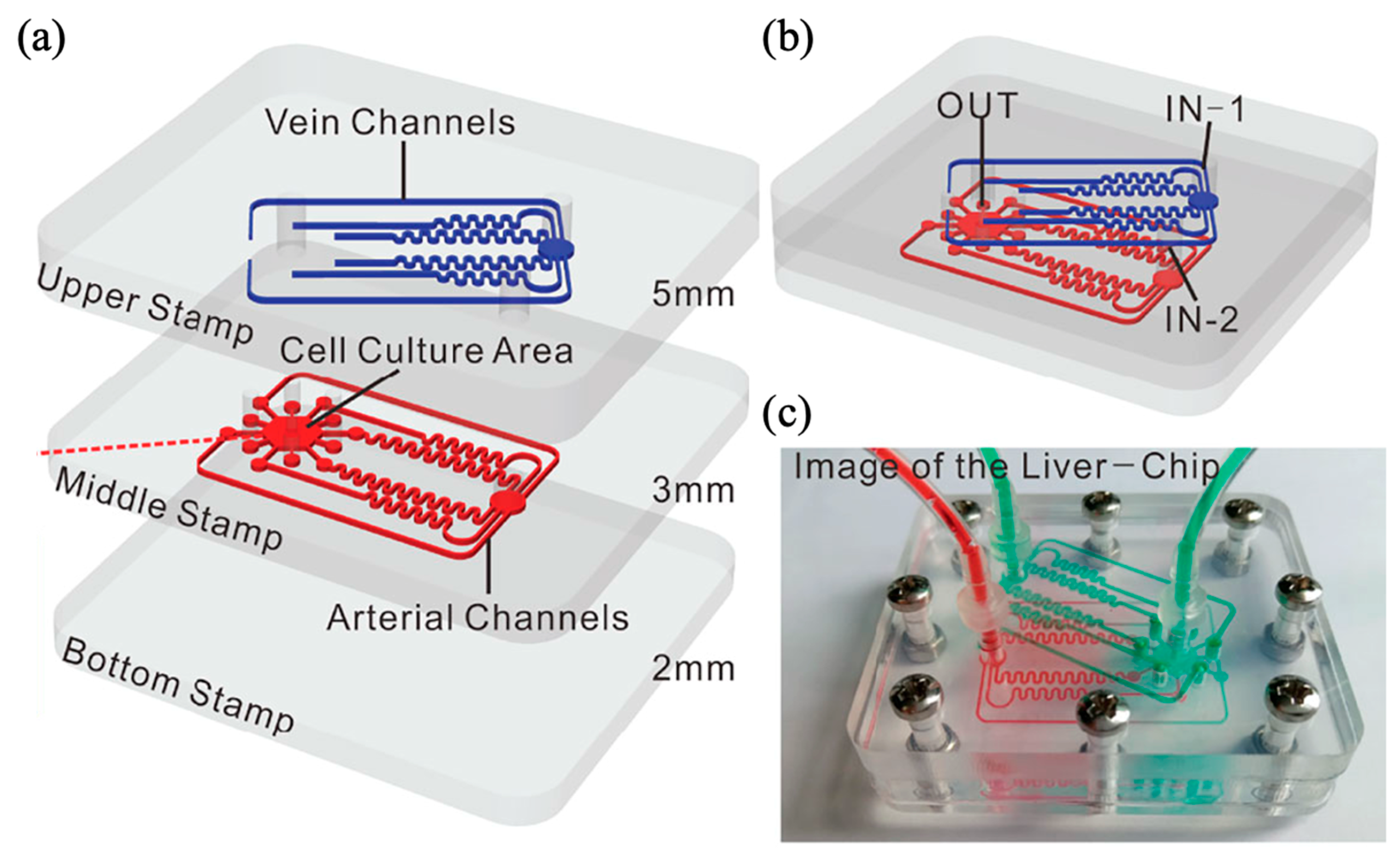 Biomimetics 10 00443 g004