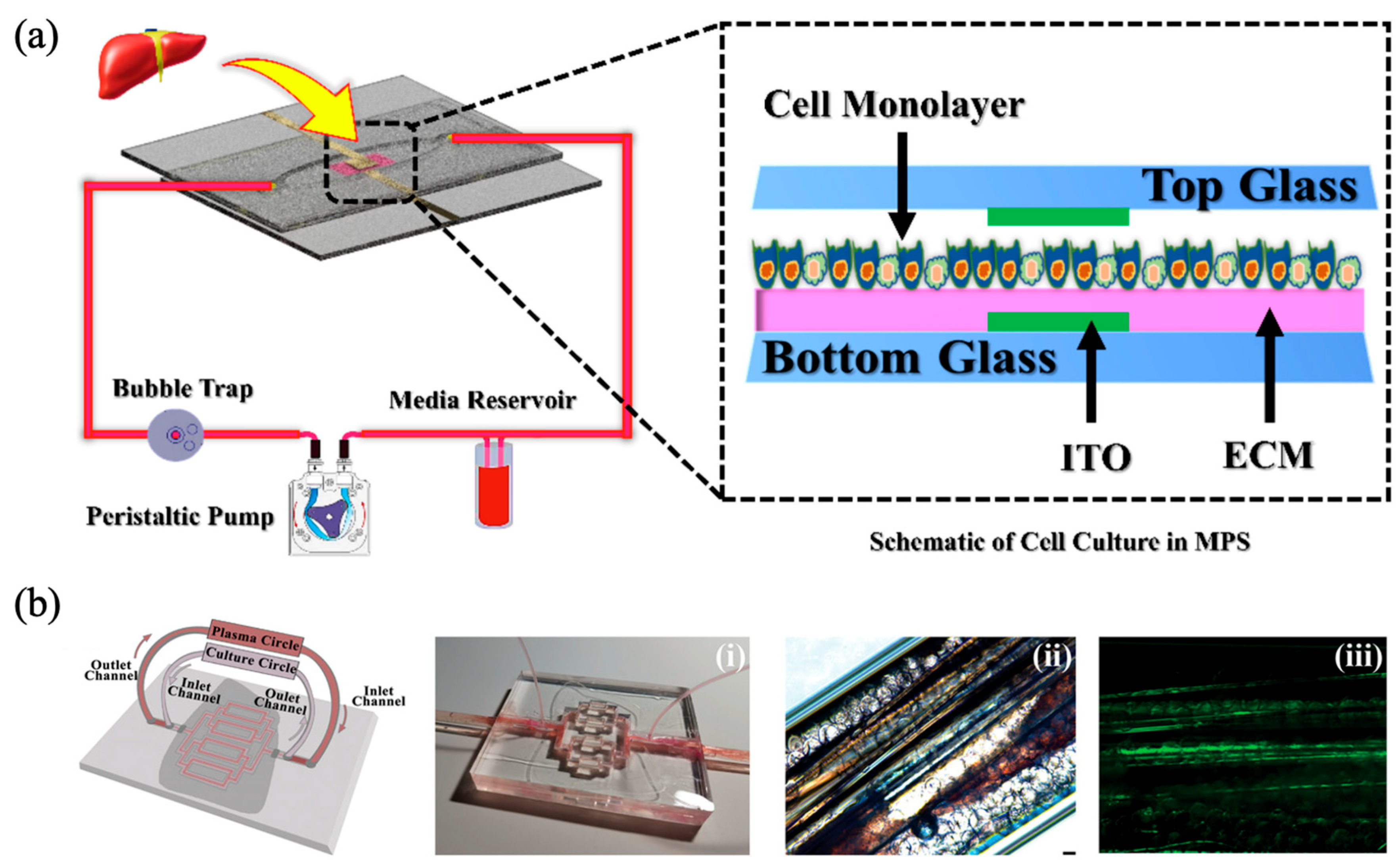 Biomimetics 10 00443 g006