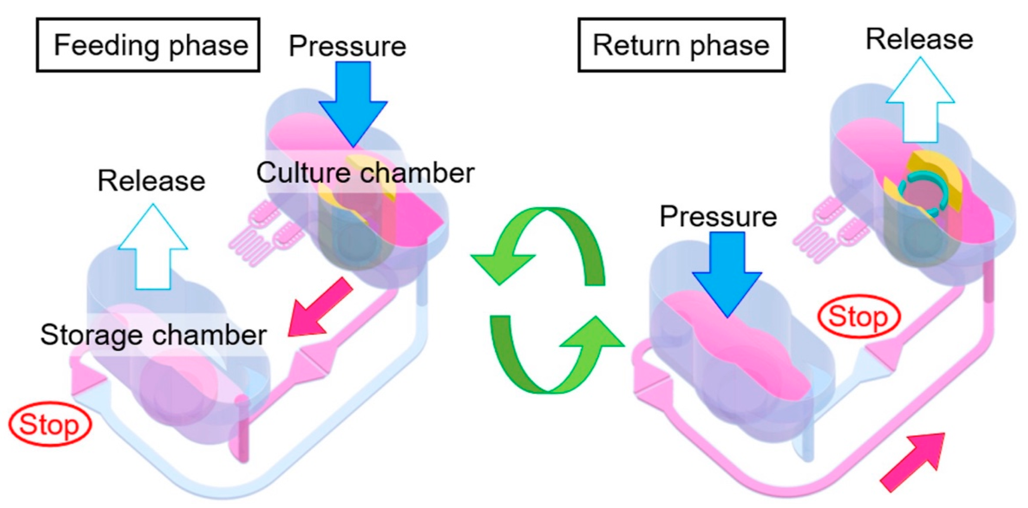 Biomimetics 10 00443 g007