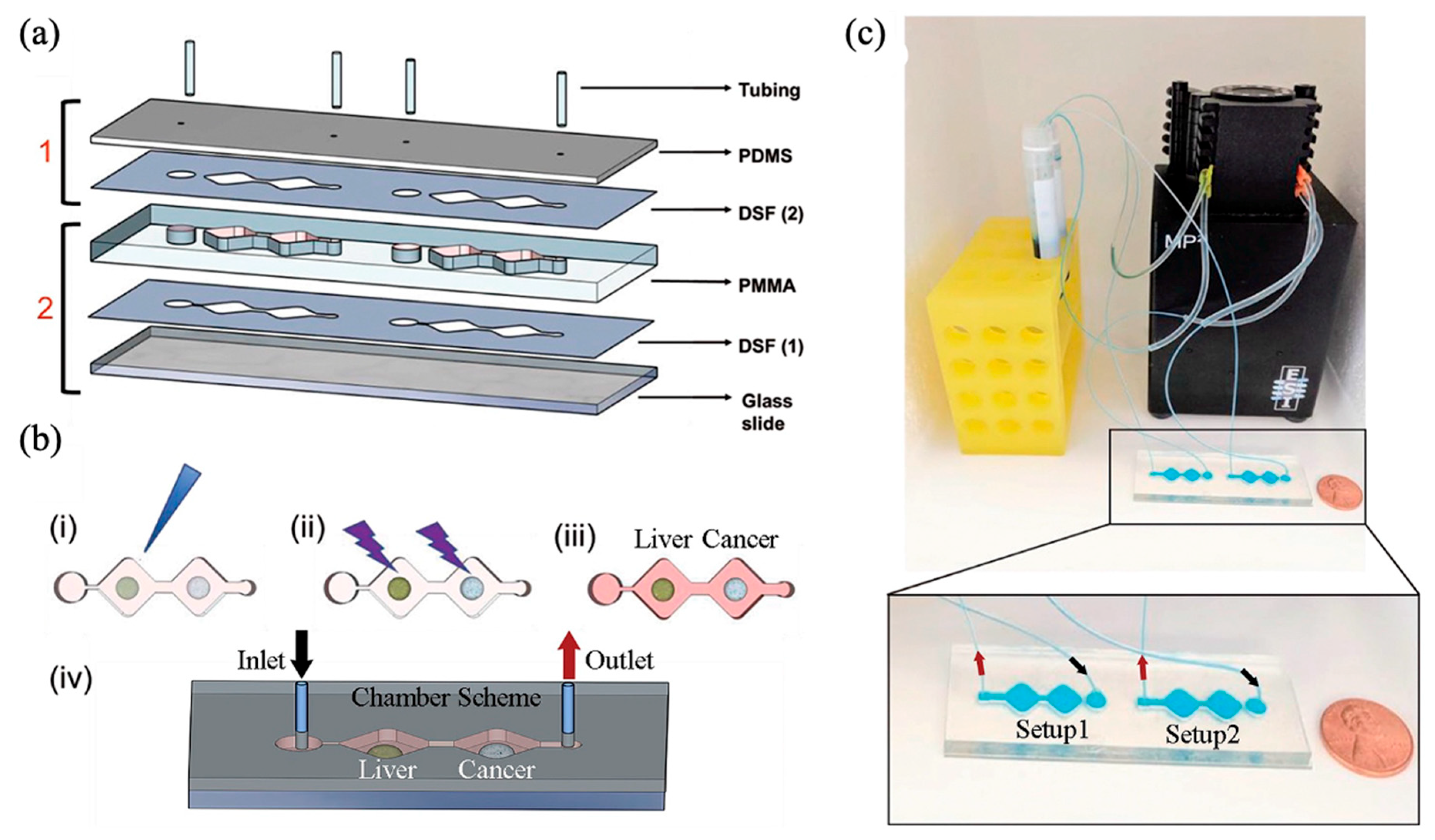 Biomimetics 10 00443 g008