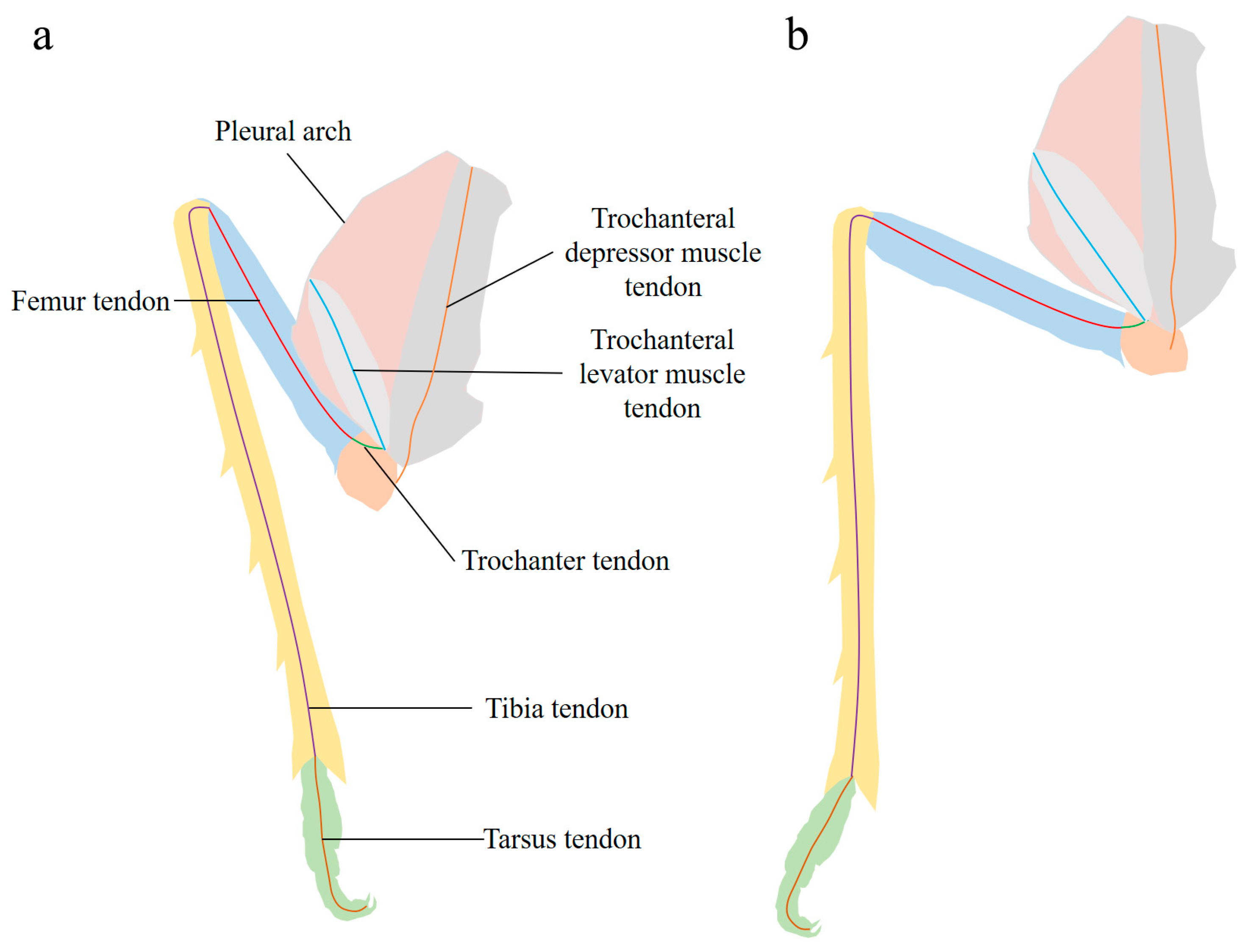 Biomimetics 10 00444 g008