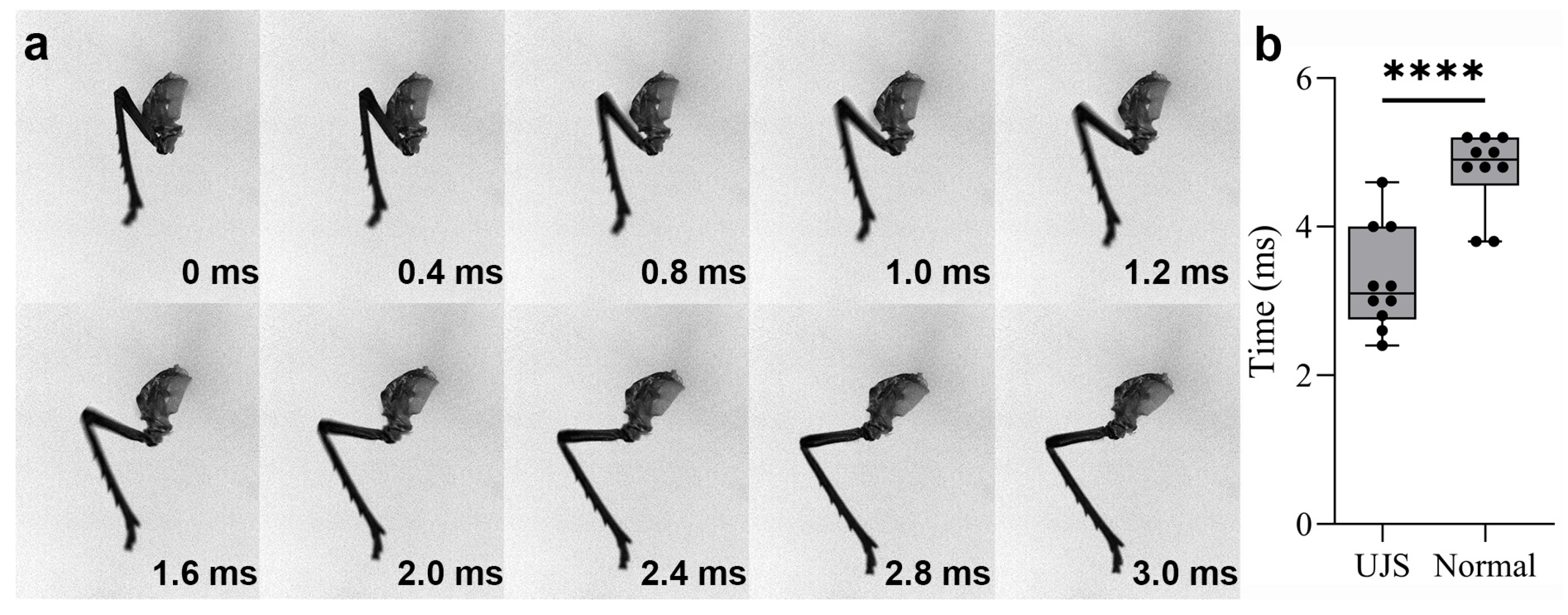 Biomimetics 10 00444 g009