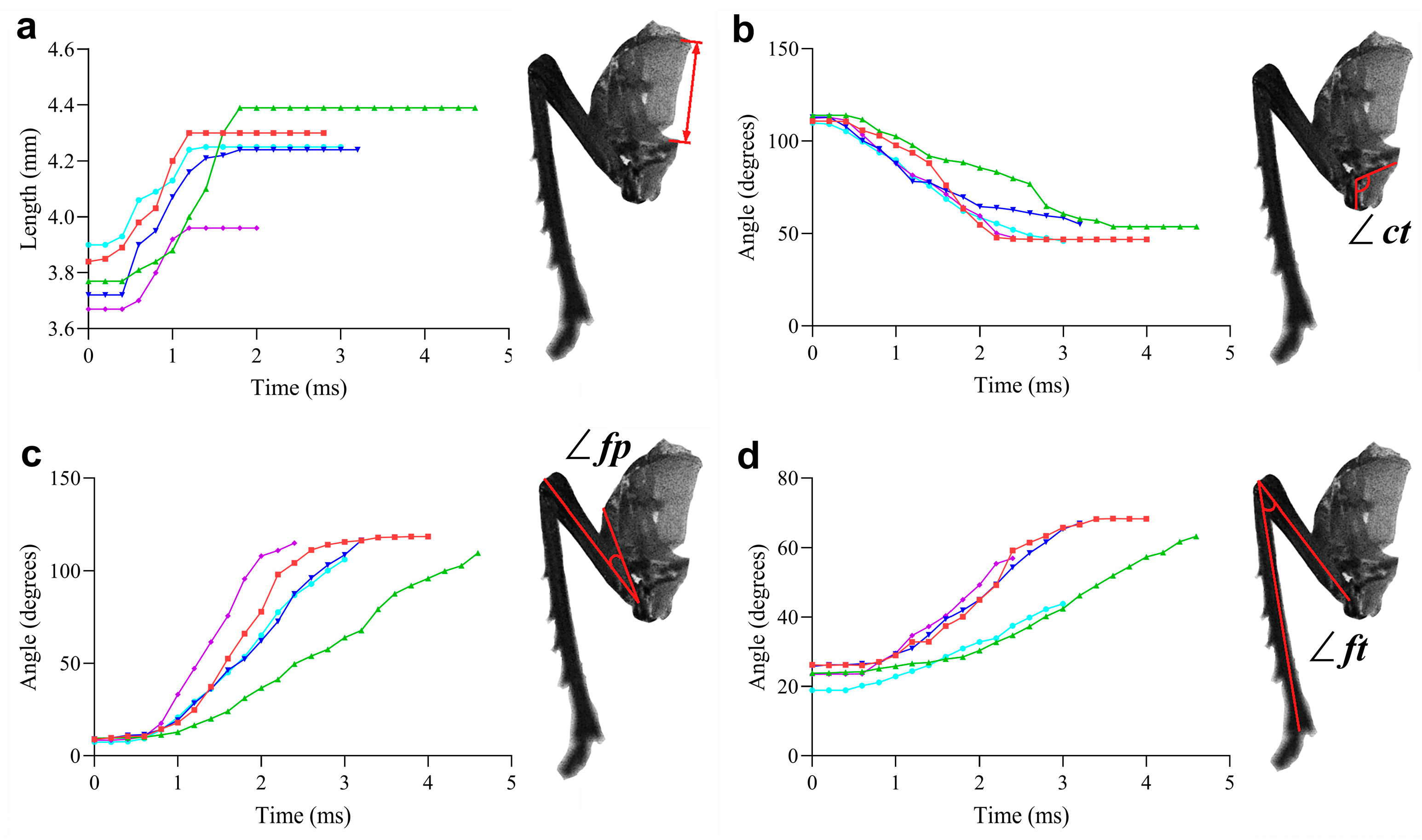 Biomimetics 10 00444 g010